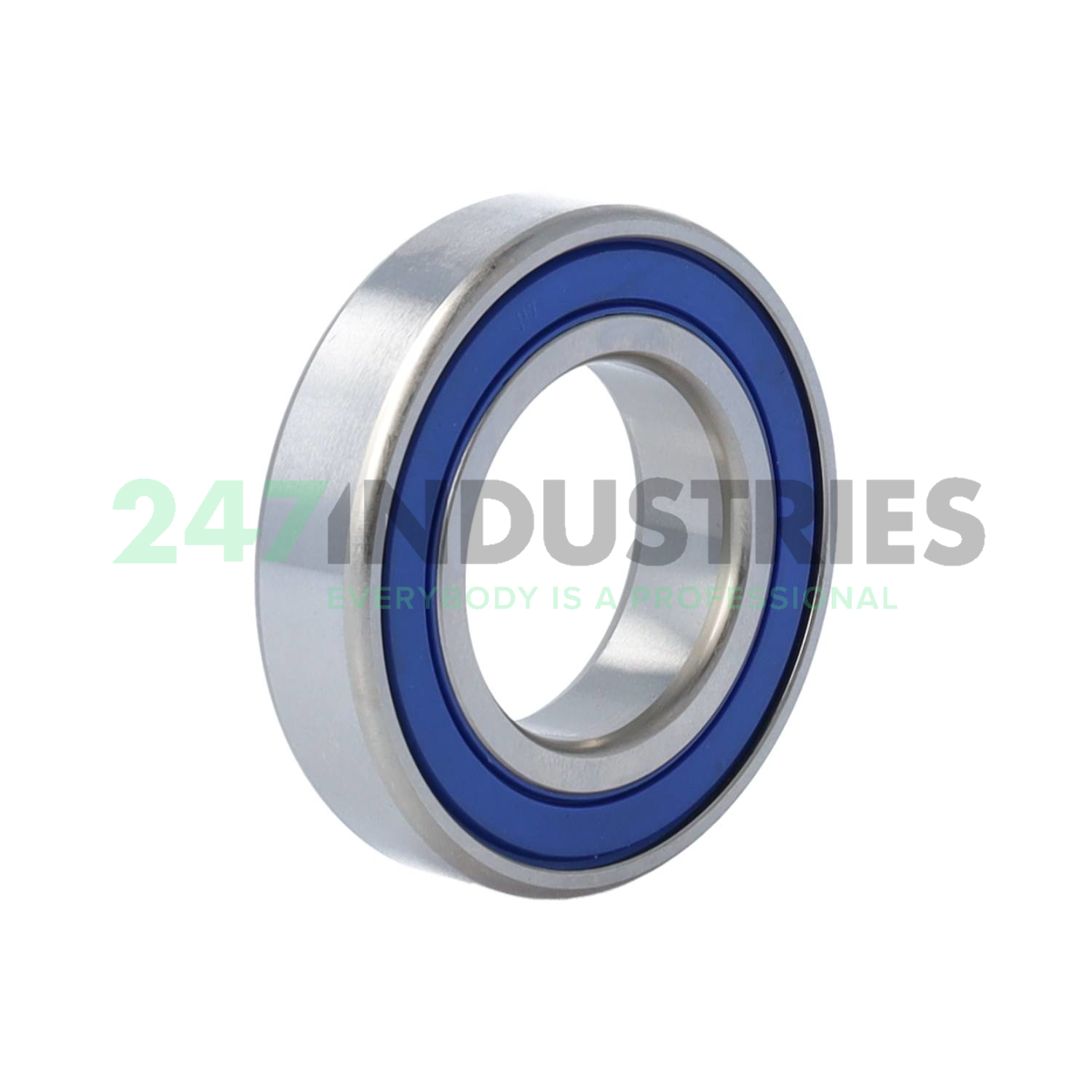 W6006-2RS1/VP311 SKF Image 2