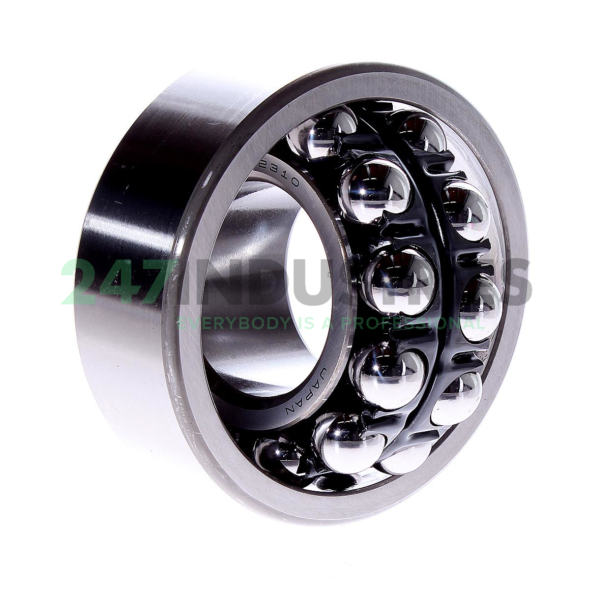 2310 NSK Image 2