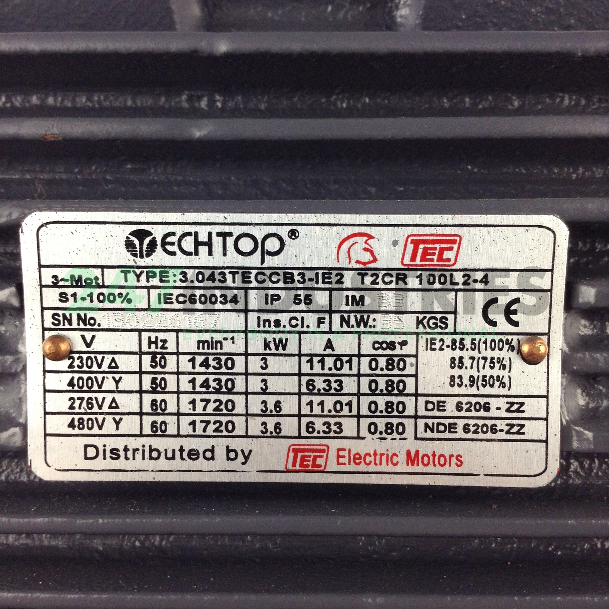 T2CR100L2-4B3 TEC Electric Motors Image 2