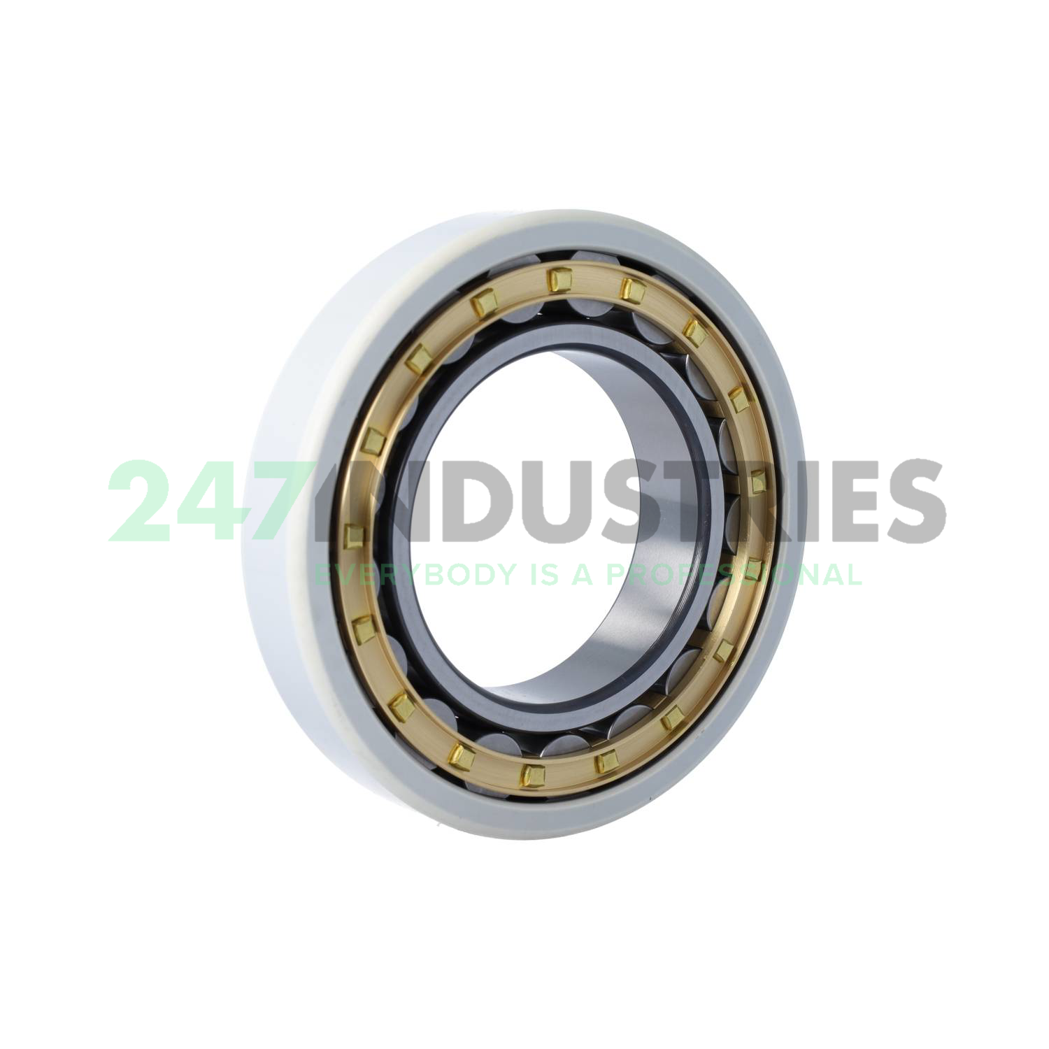 NU218-E-XL-M1-F1-J20AA-C3 FAG Image 2