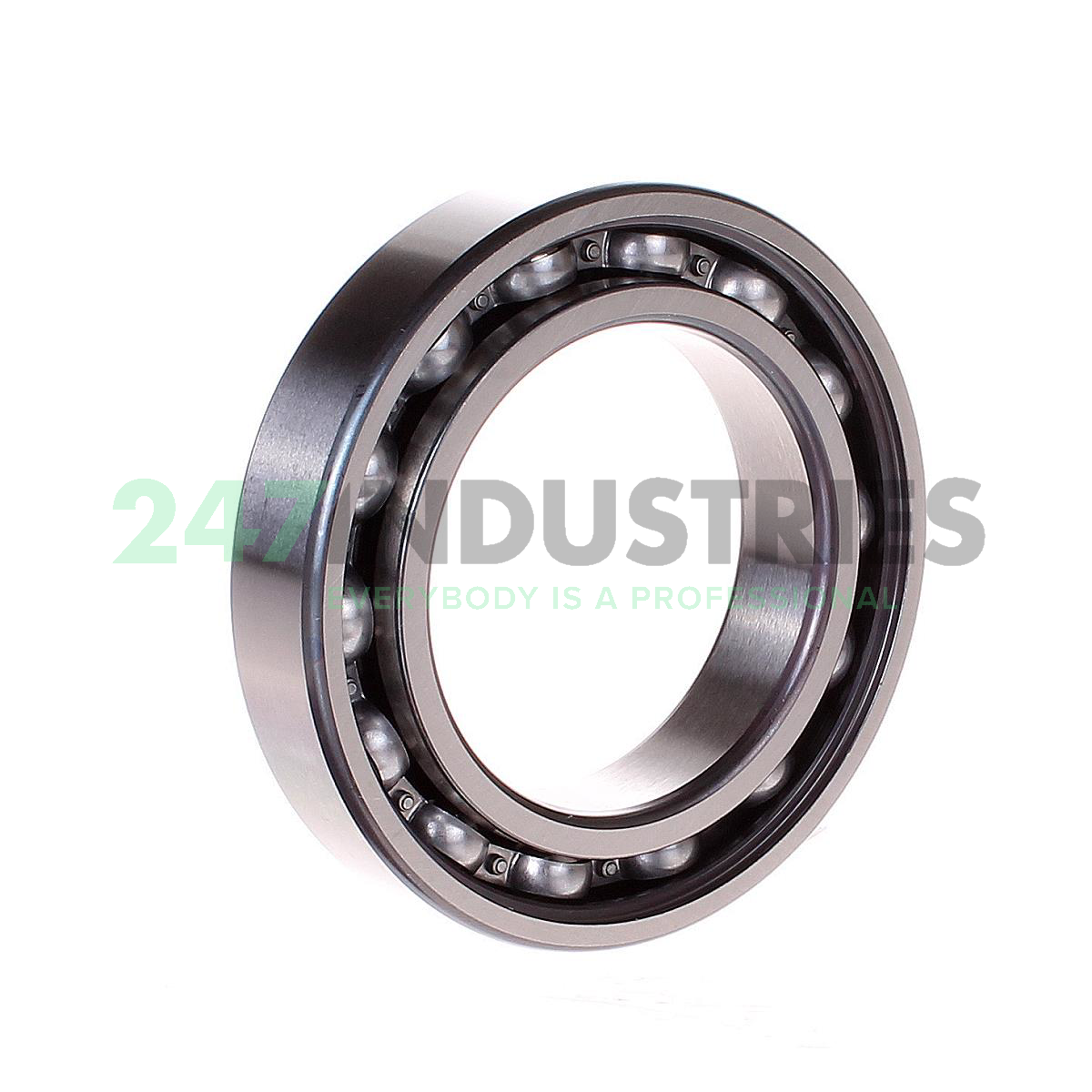 6010-RSR FAG Image 2