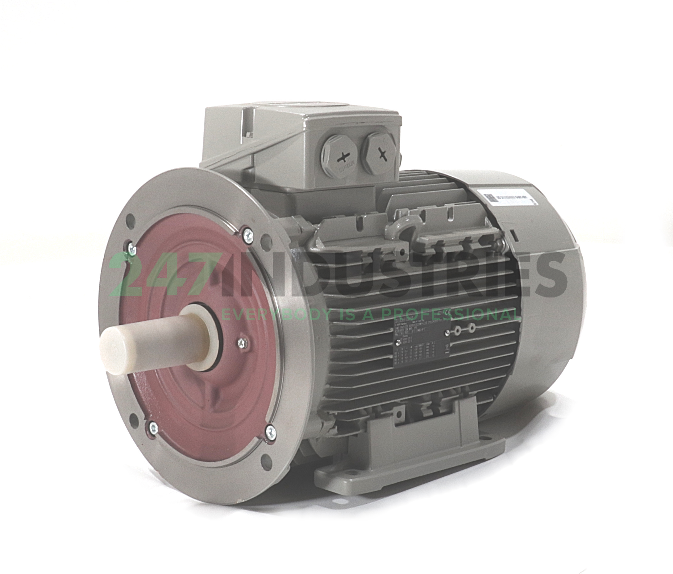 1LE1003-1CB23-4WB4 Siemens