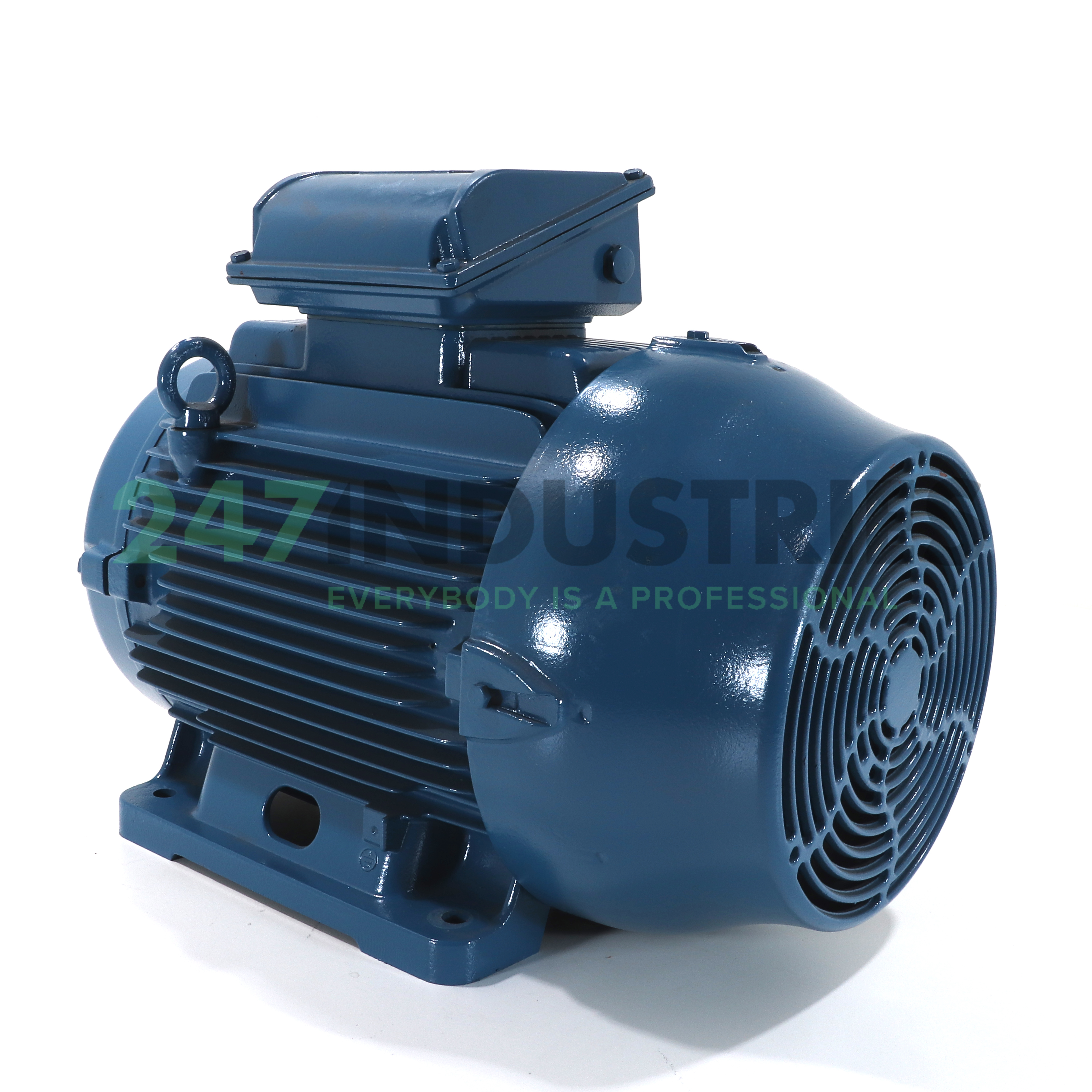 37K32CI1200L2B3 WEG Image 3