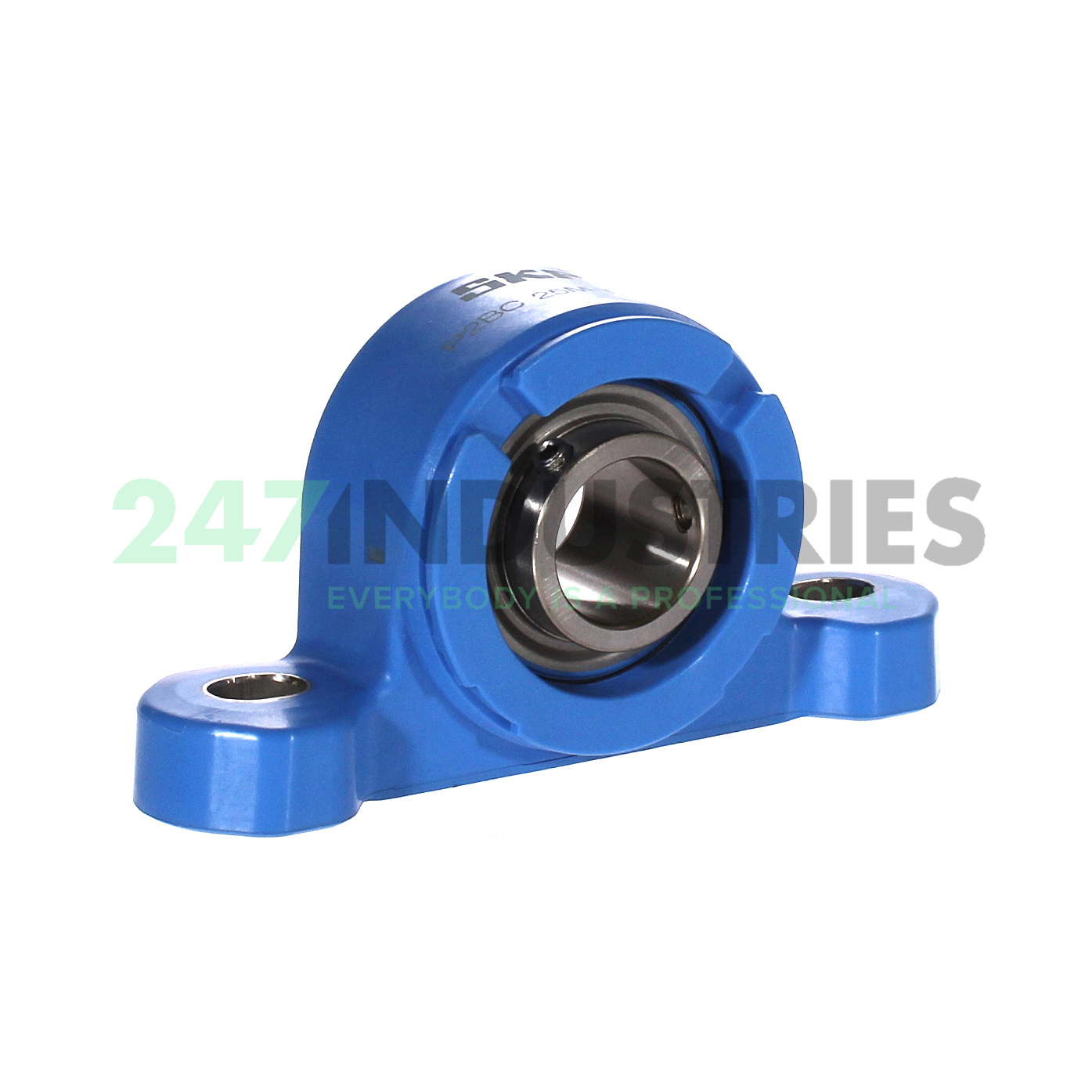 P2BC25M-TPSS SKF Image 1