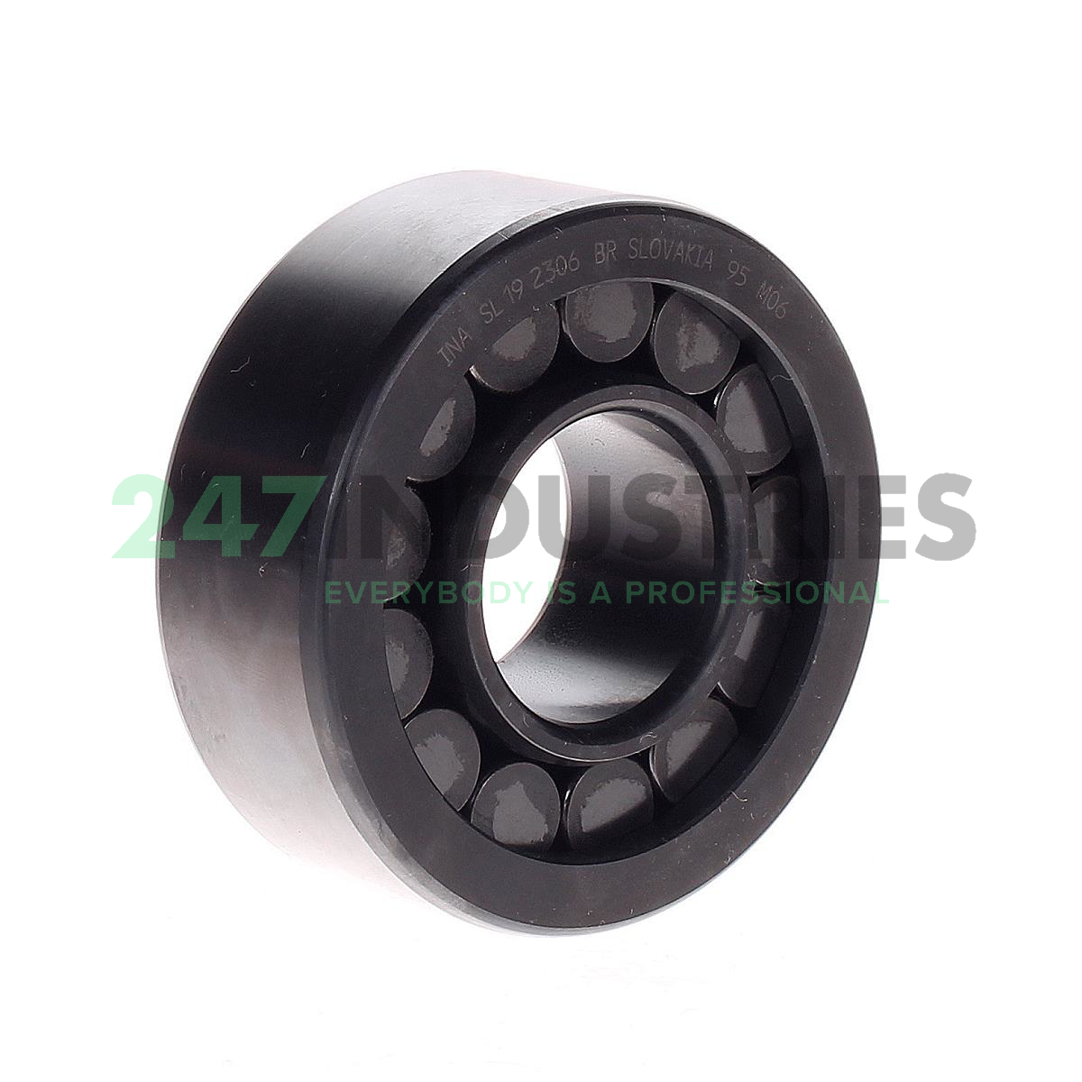 SL192306-BR INA