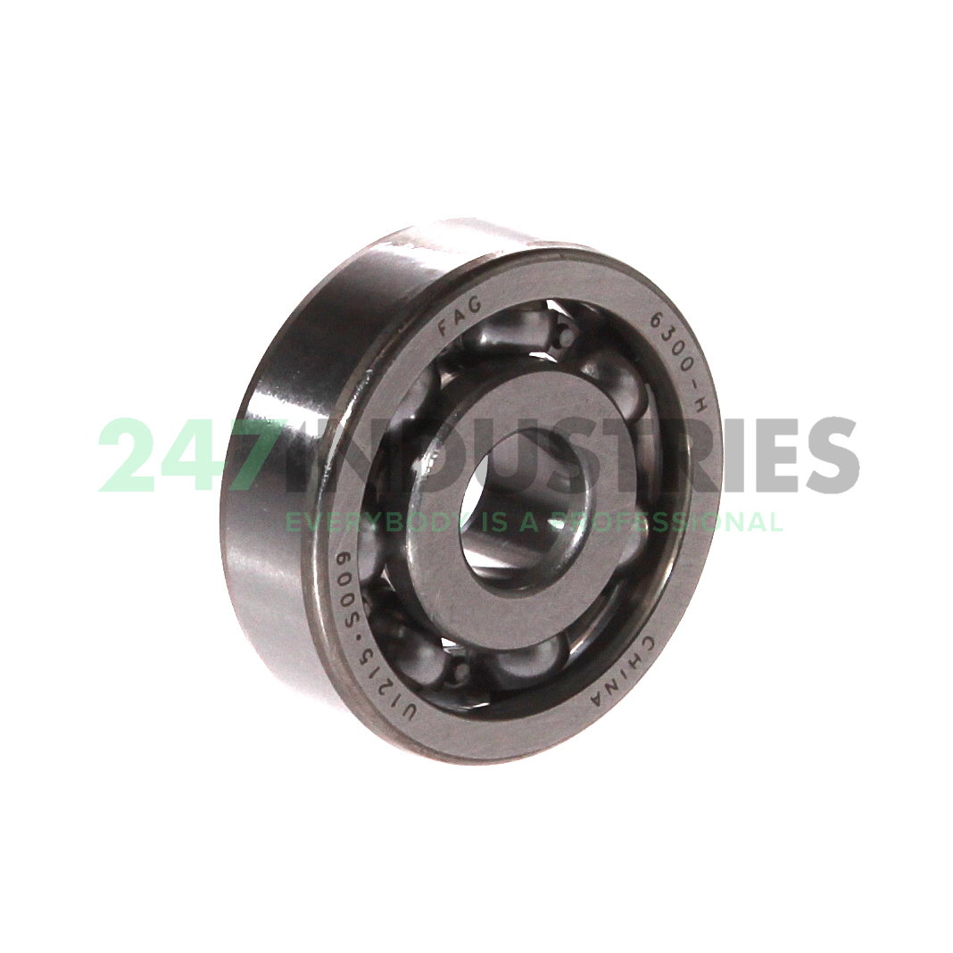 6300-H FAG