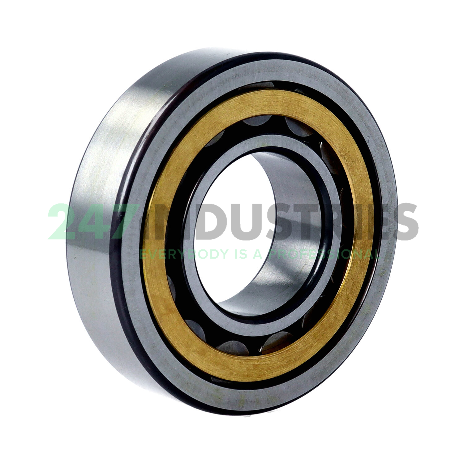 NU309-E-XL-M1 FAG Image 2