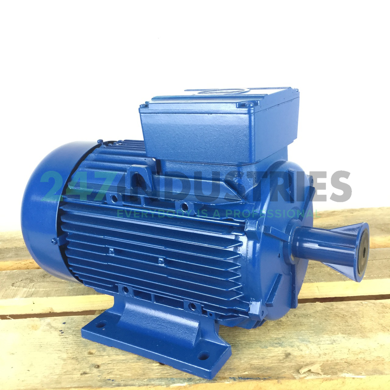 A4C1142A00016 Marelli Motori Image 3