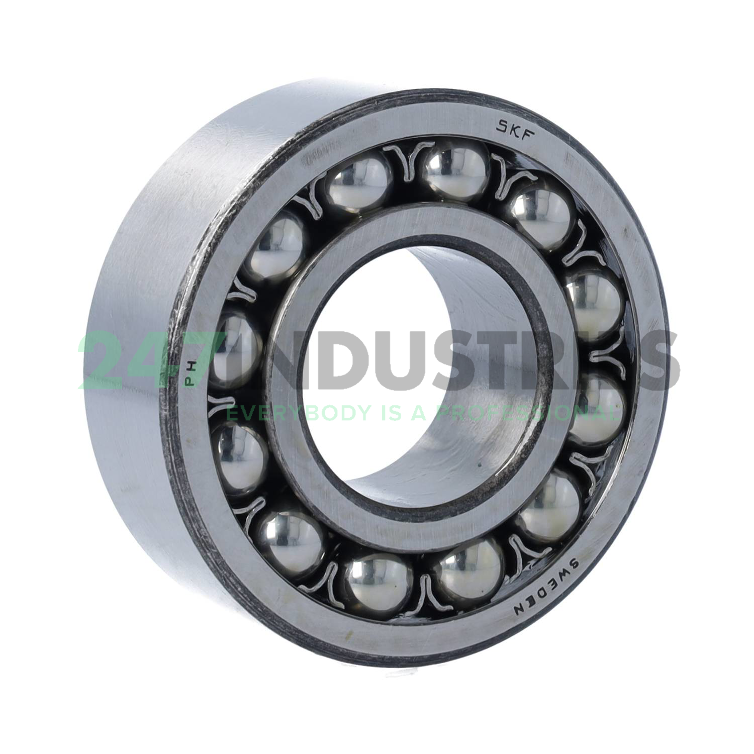2309 SKF Image 1