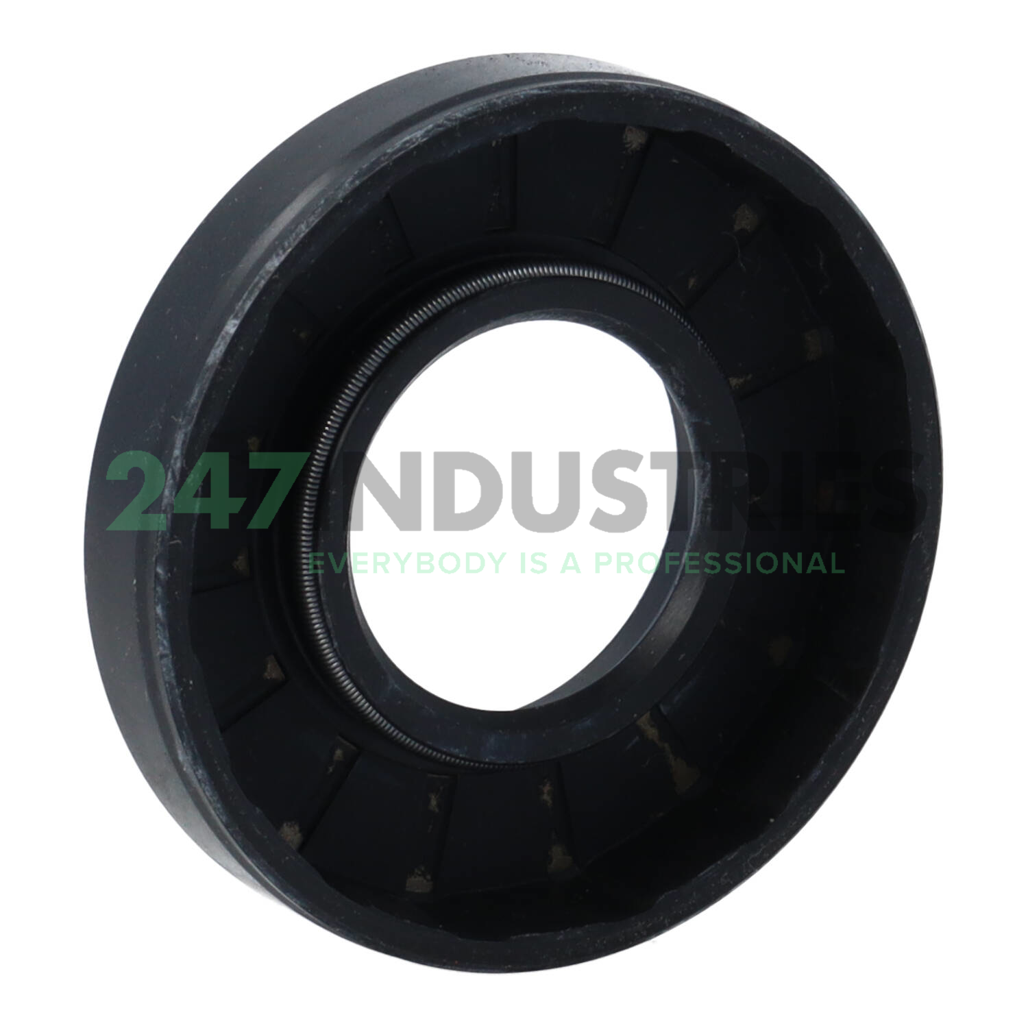 SC24X52X10 NAK Sealing Technologies Image 2