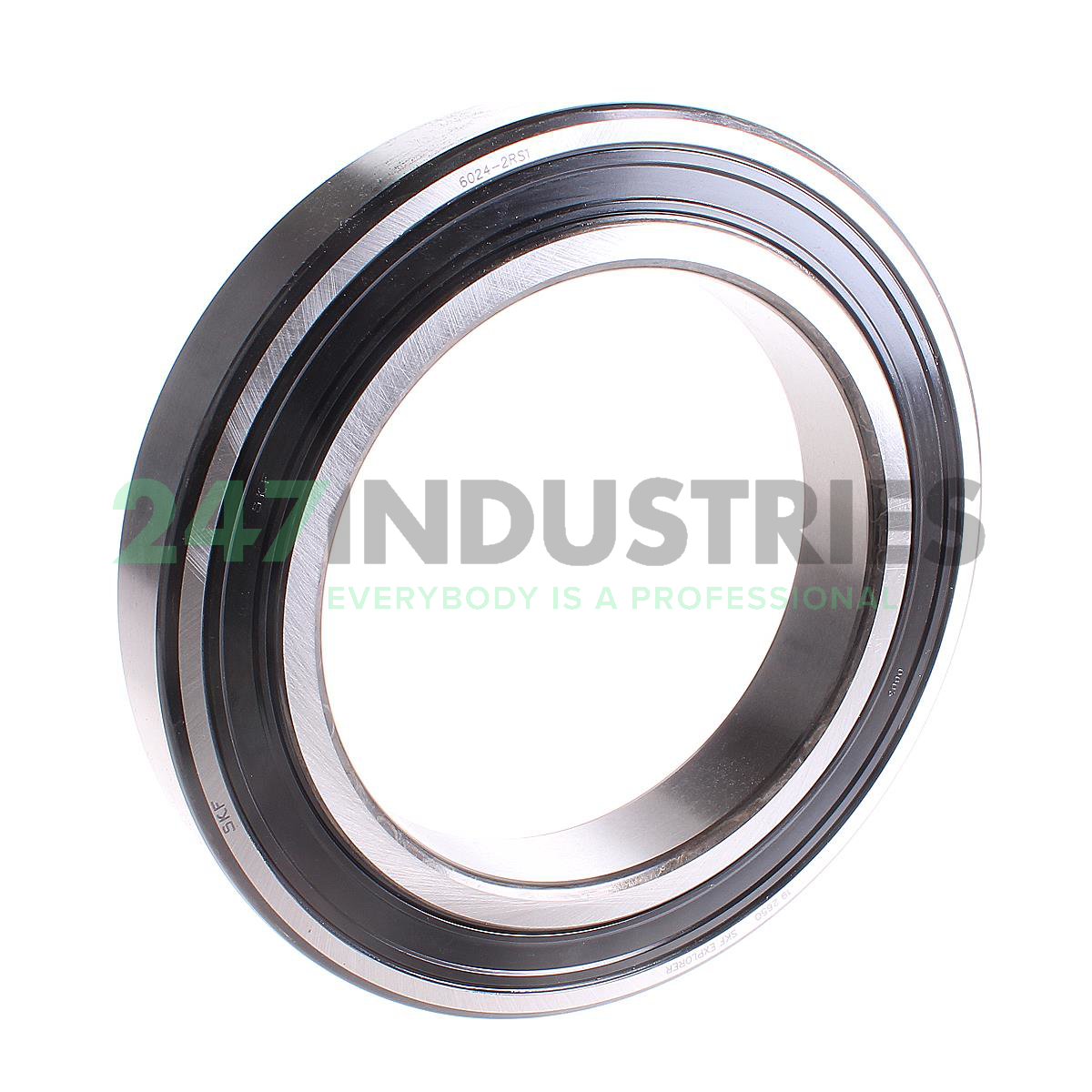 6024-2RS1 SKF Image 1