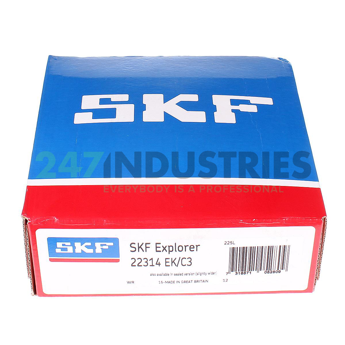22314EK/C3 SKF Image 4