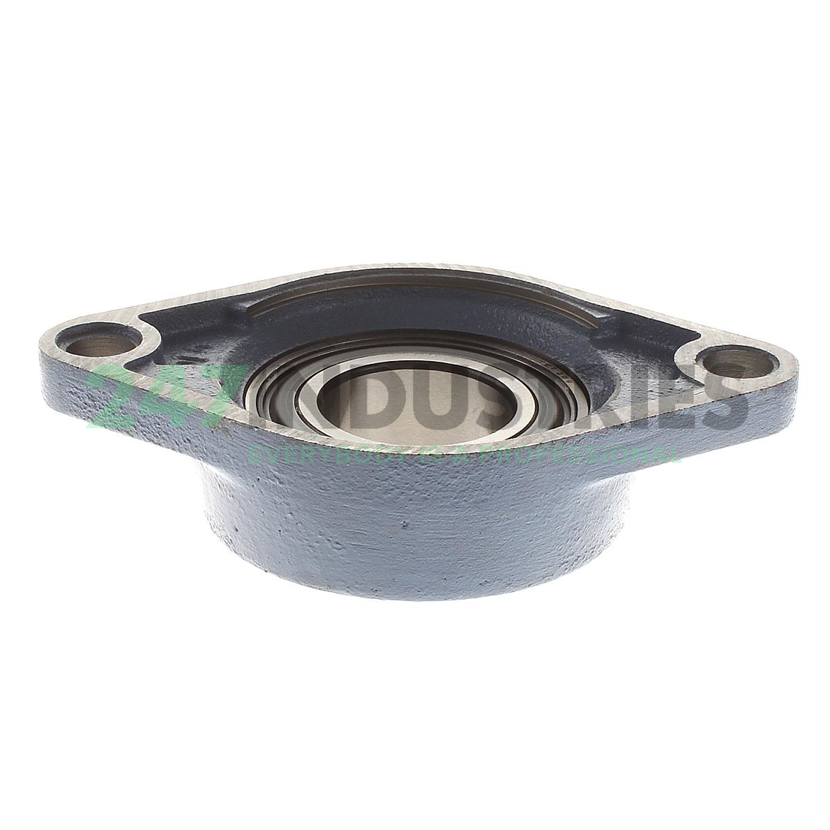 FYTB45FM SKF Image 2