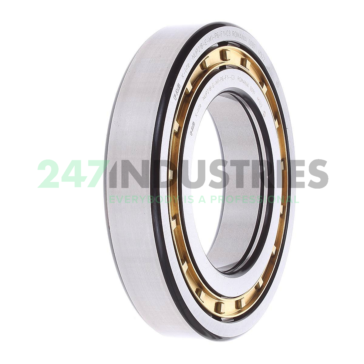 NUP218-E-M1-P6-F1-C3 FAG