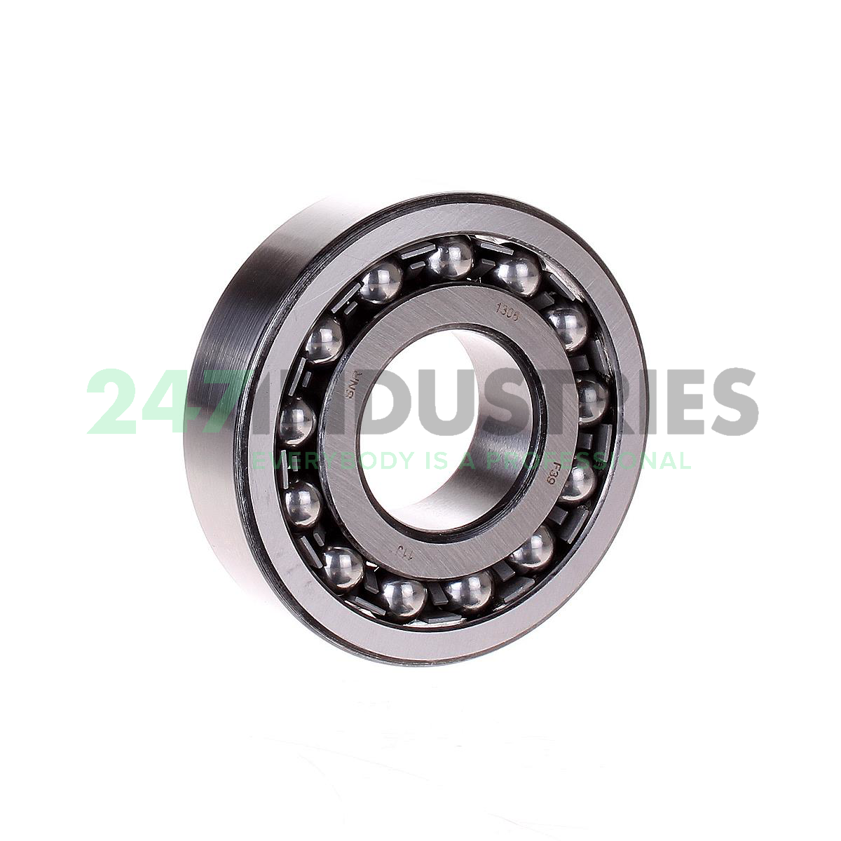 1306 SNR Image 1