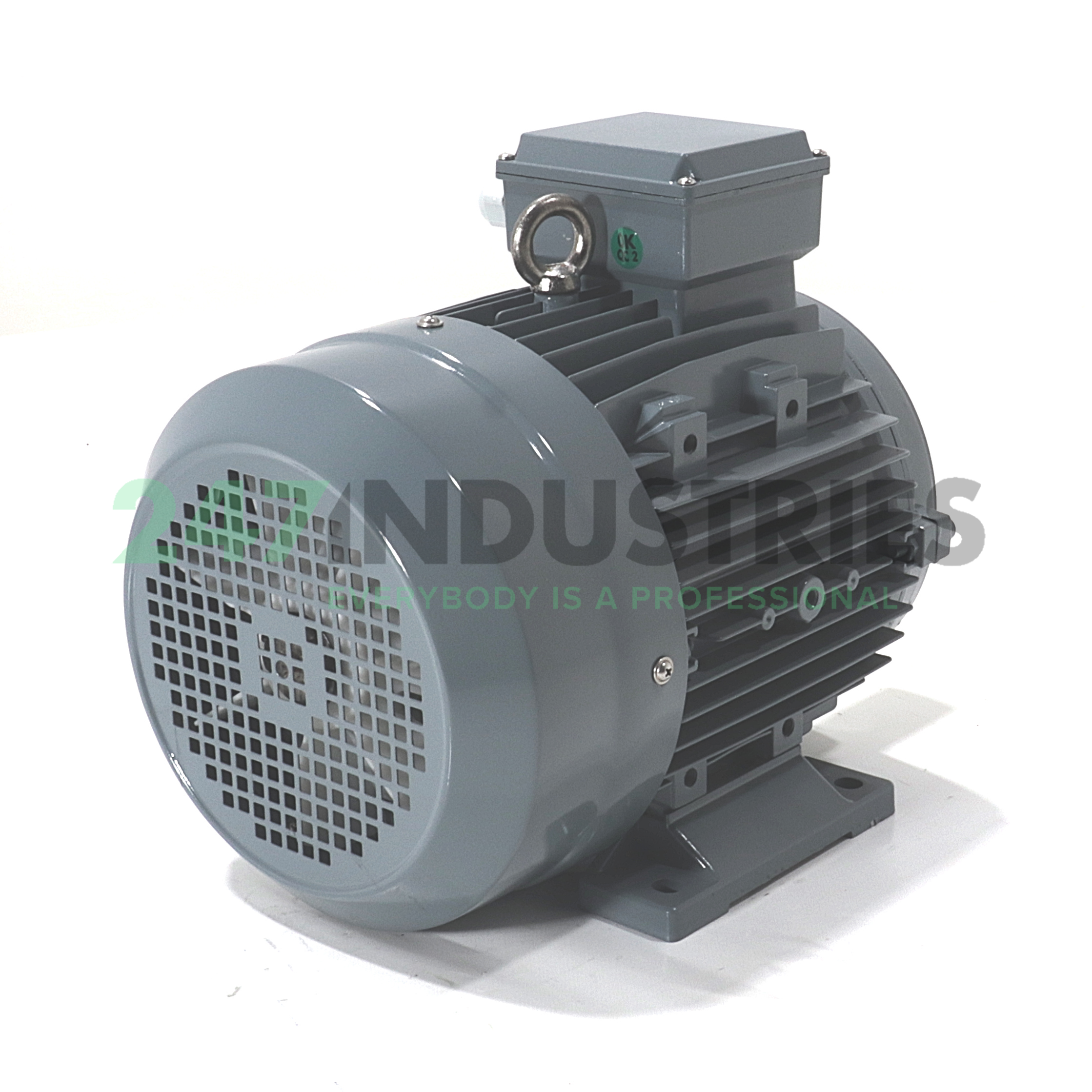 MS132S-4-B3 Felsen Image 3