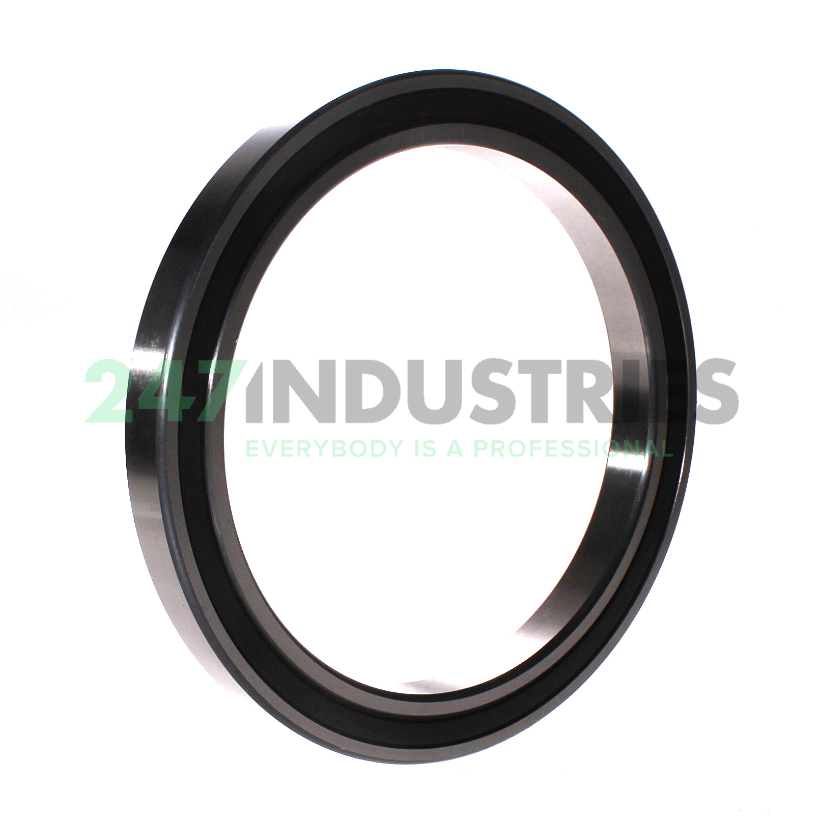 61834-2RS ZEN Image 2