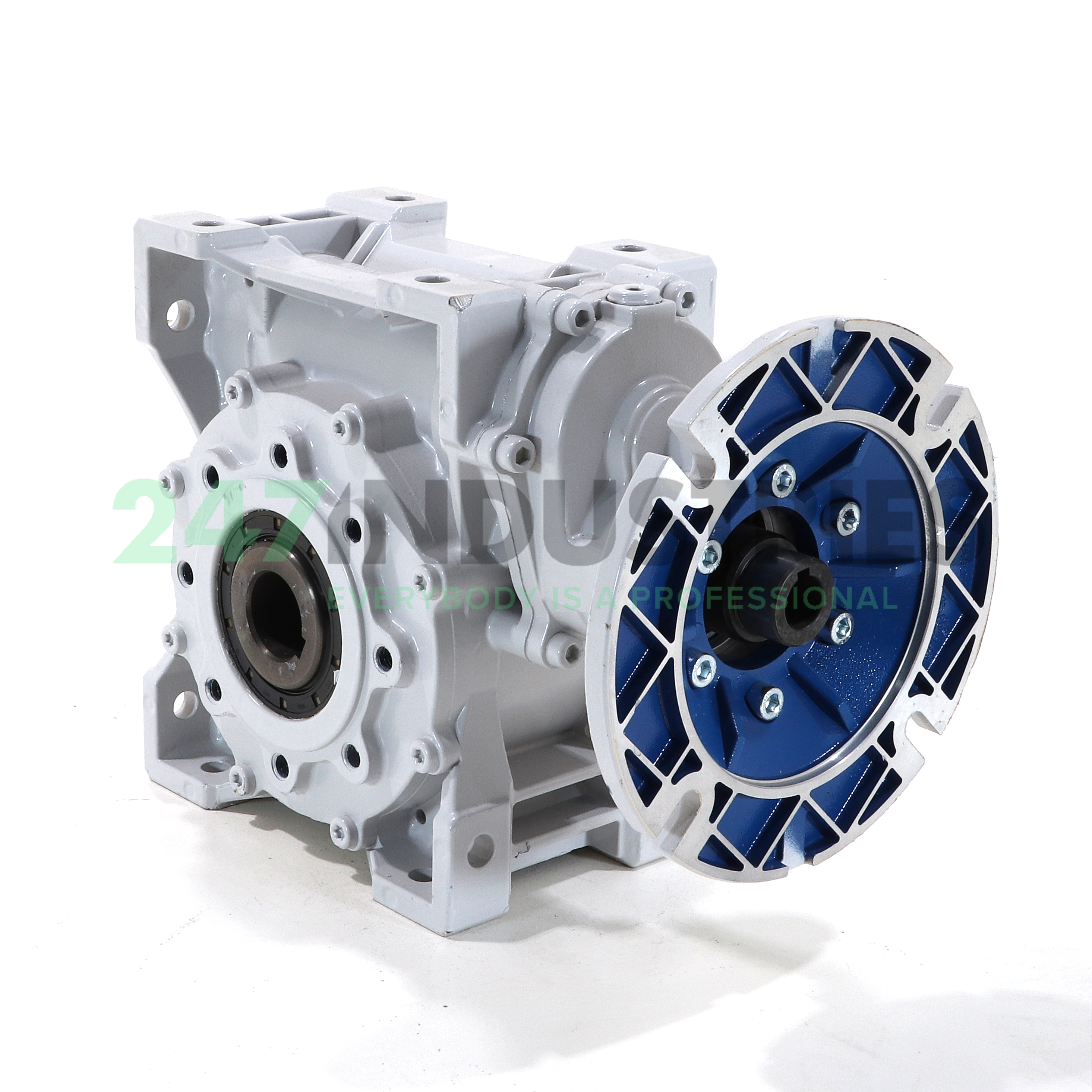 HW40/NRMV-P090-I186 Motovario Image 3