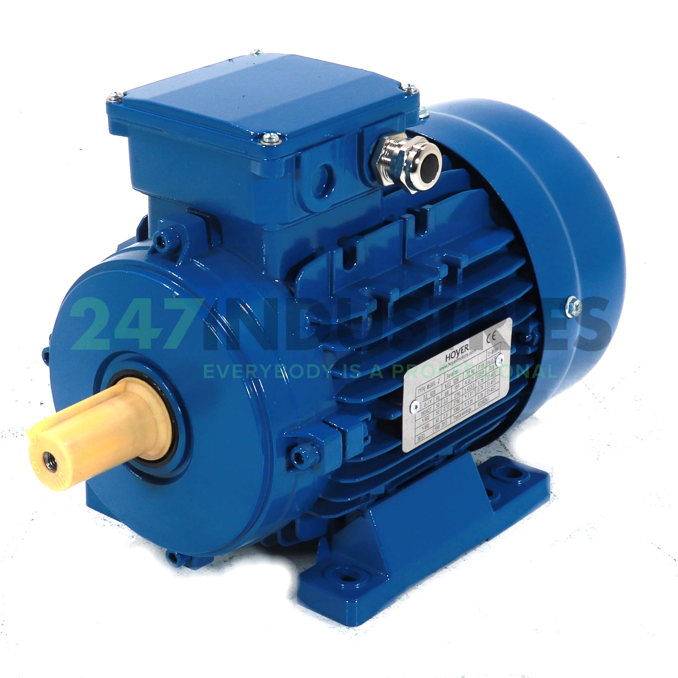 MS90L-2-B3 Hoyer Image 1
