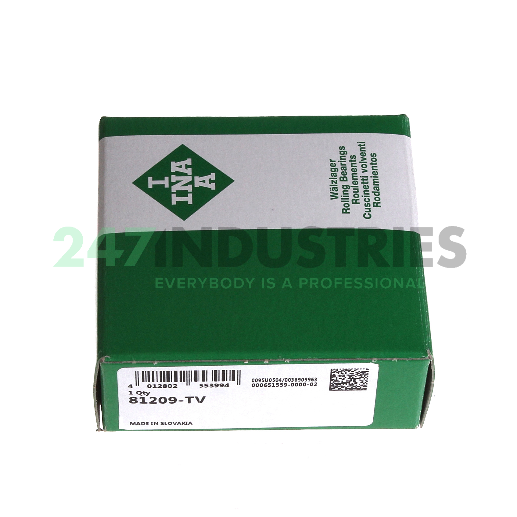 81209-TV INA Image 4