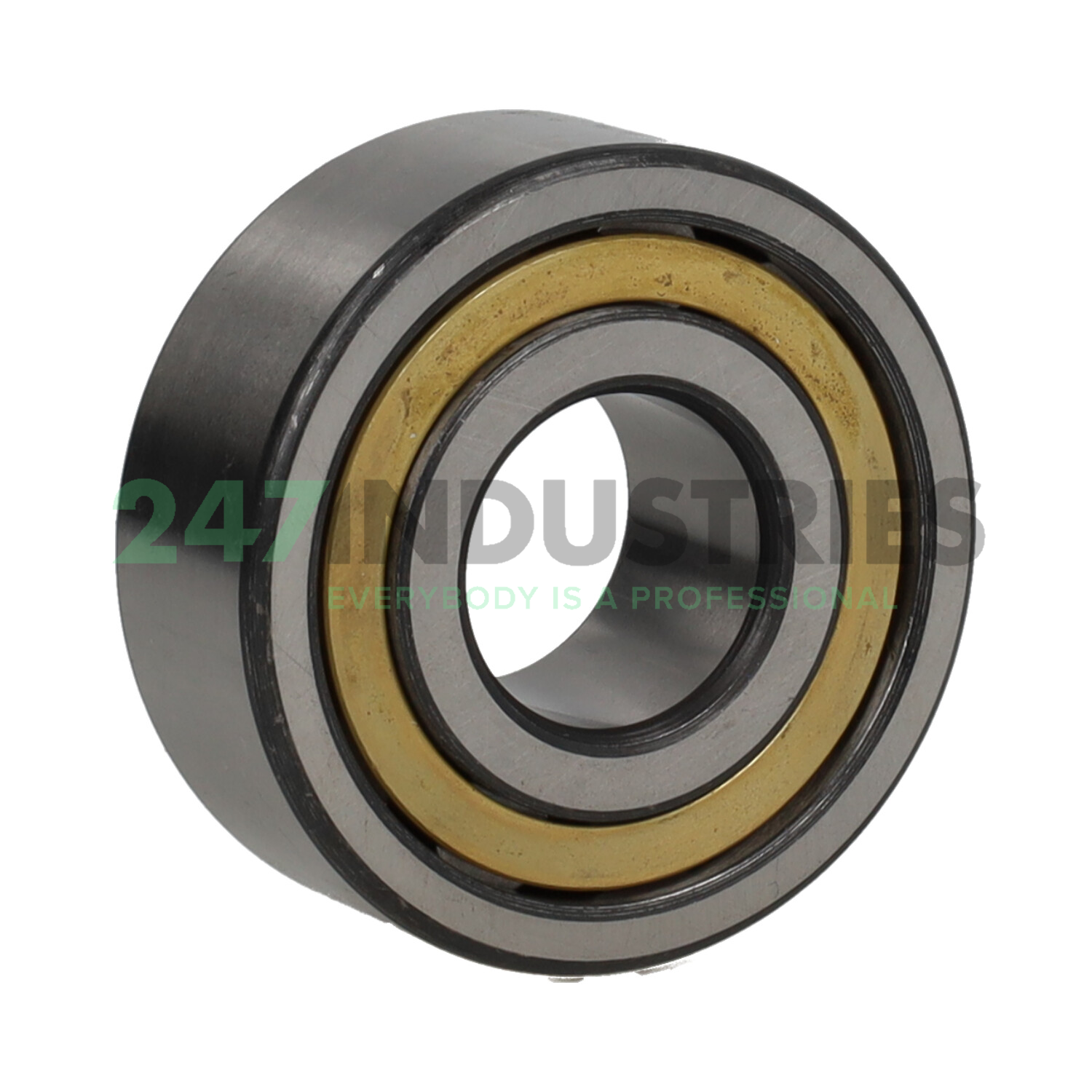 NJ2305E.M1.C4.BL FAG Image 2