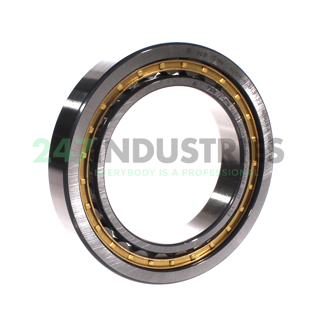 NU1018-XL-M1-F1-C4 FAG Image 2