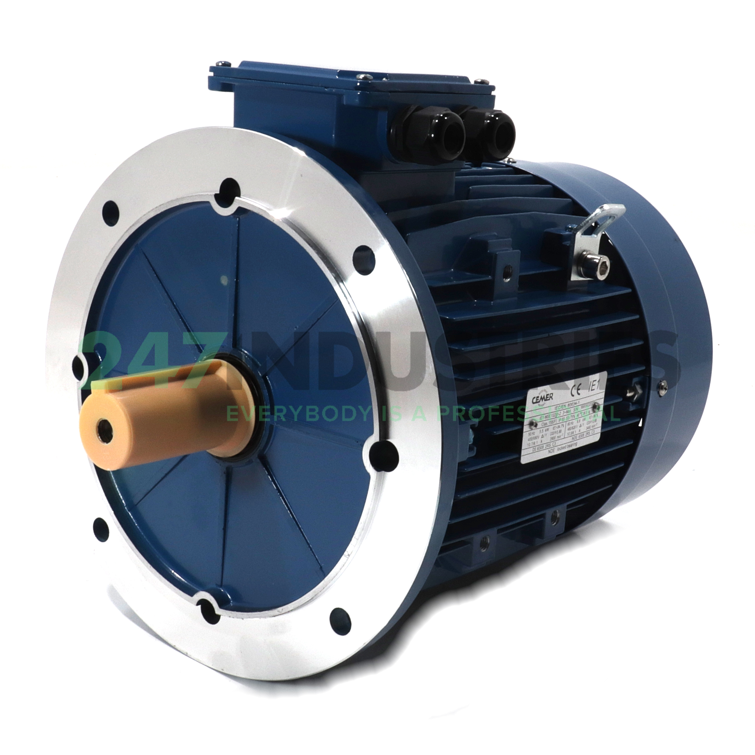 IE1-MSE-132S1-2-B5 Cemer Image 1