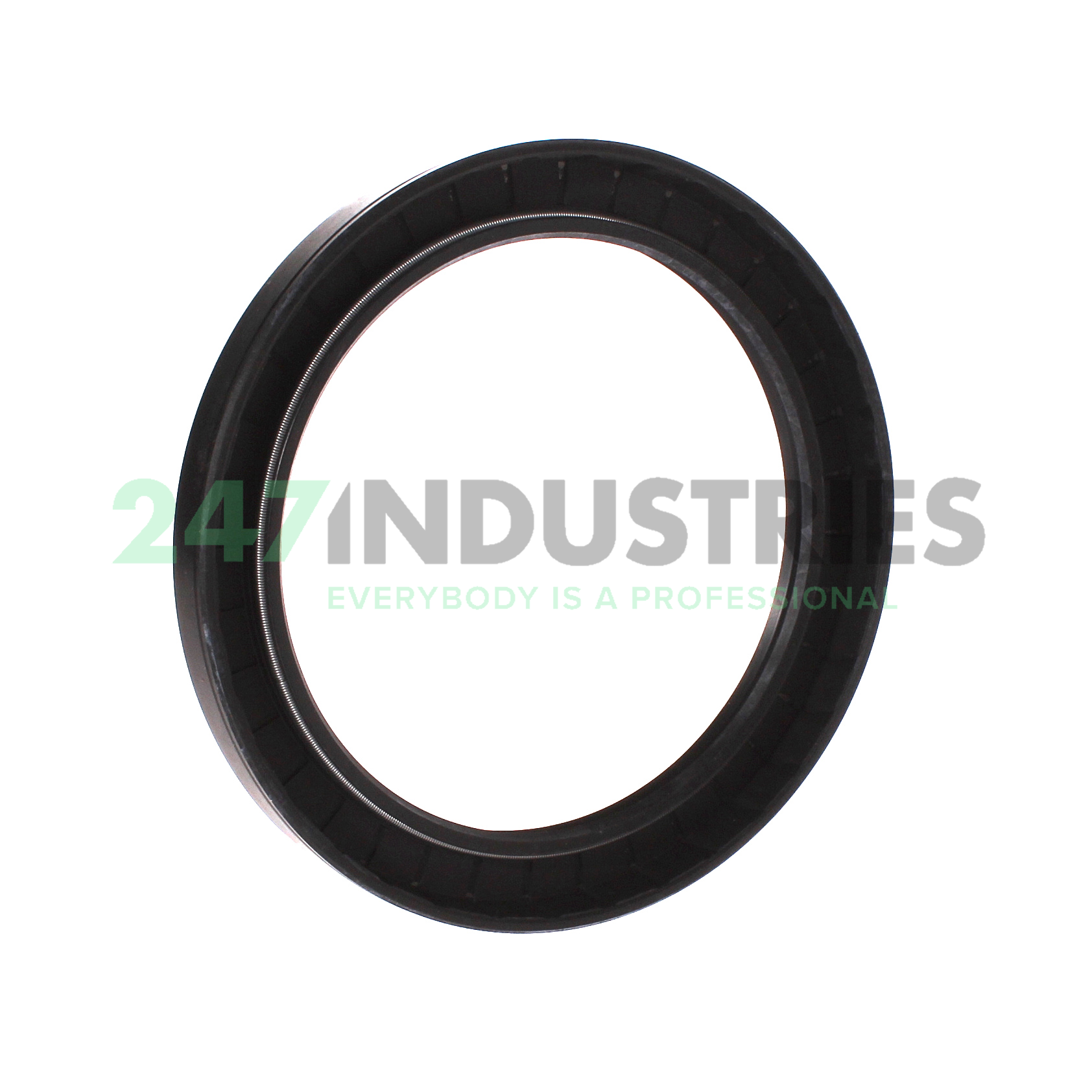 TC120X155X15 NAK Sealing Technologies Image 2