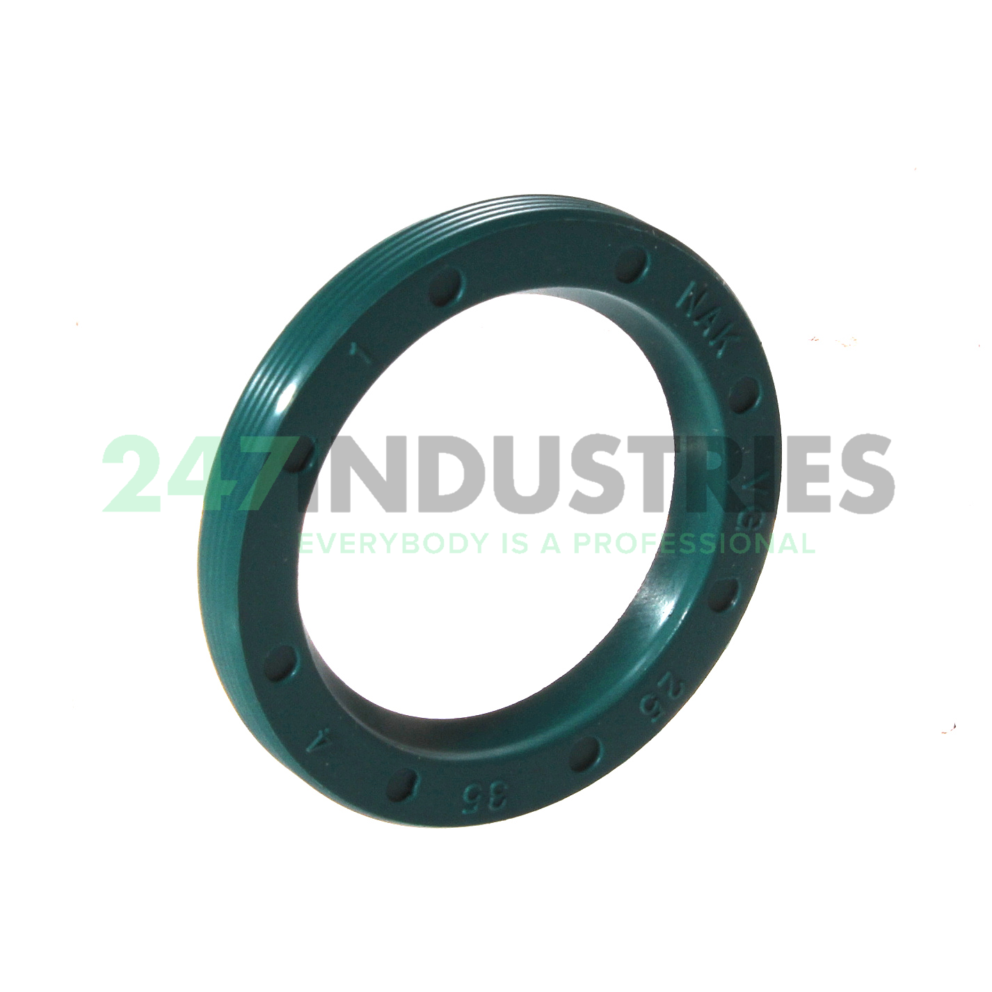 VG25X35X4 NAK Sealing Technologies Image 1