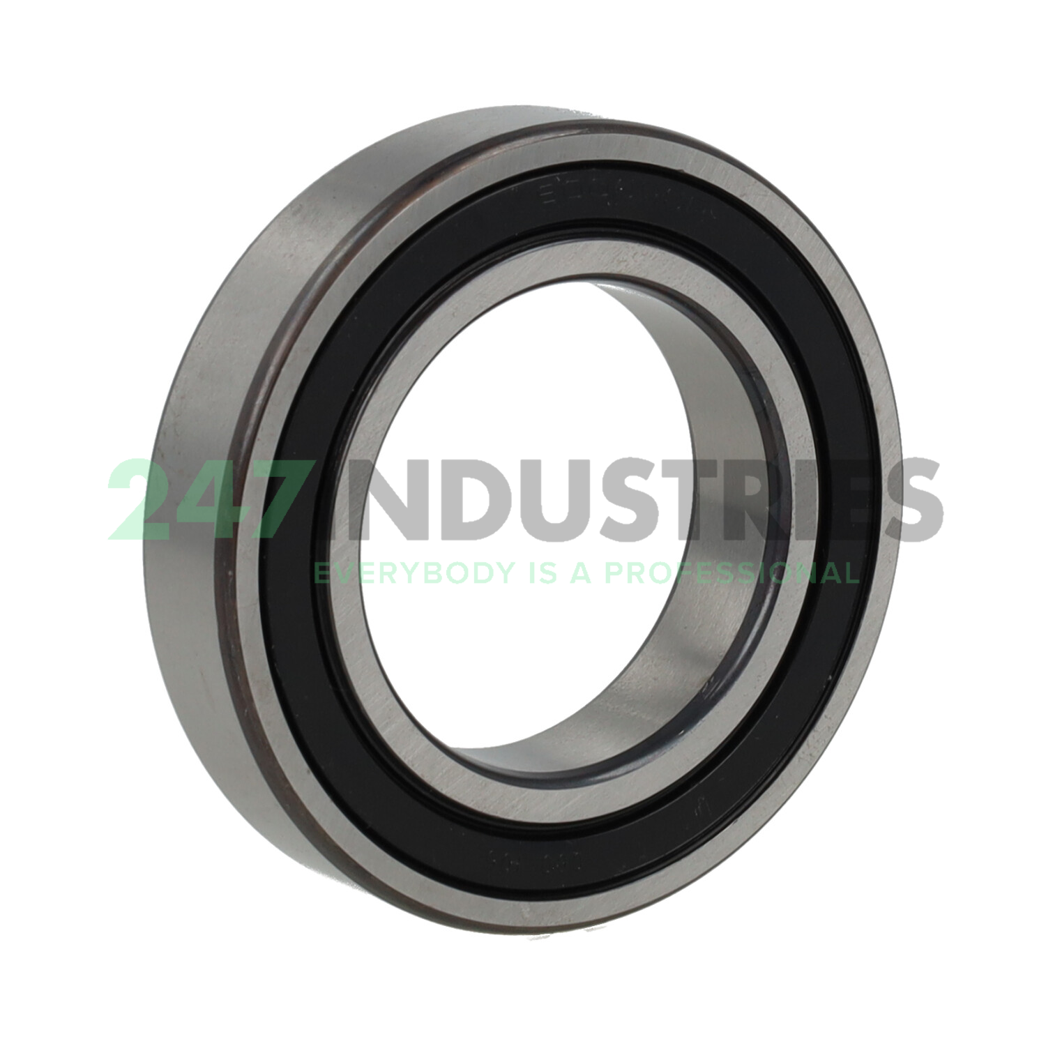 6009-2RSR-L207 FAG Image 2