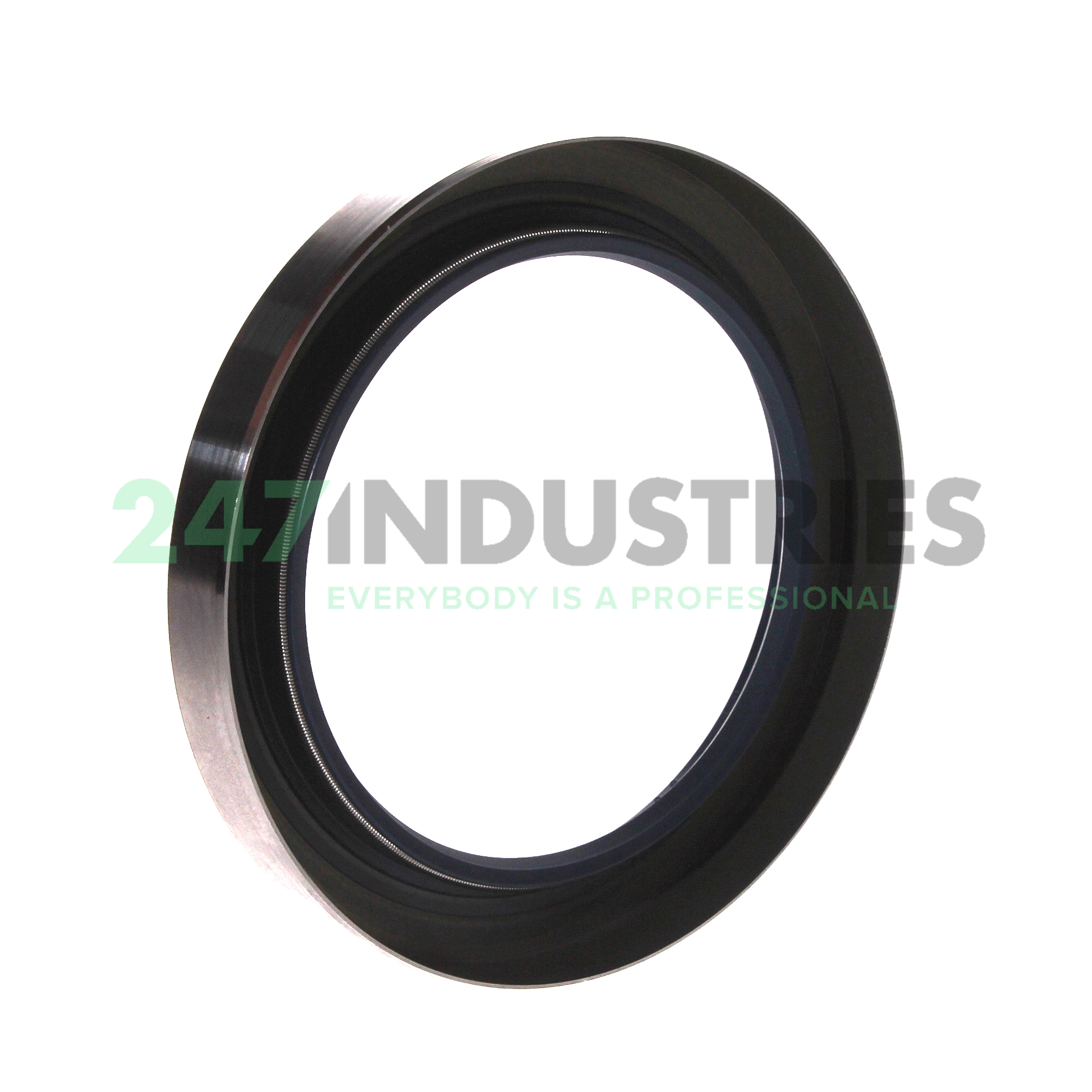 80X110X13CRS13R SKF Image 2