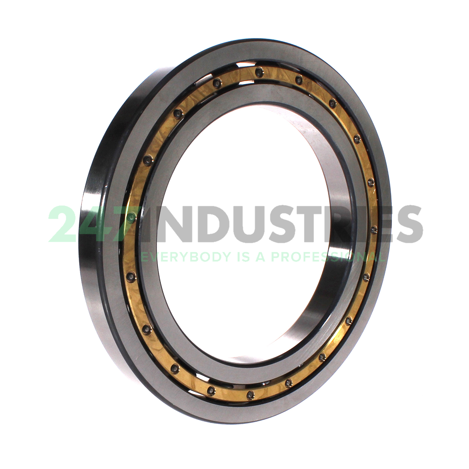 16032-M-C4 FAG Image 2