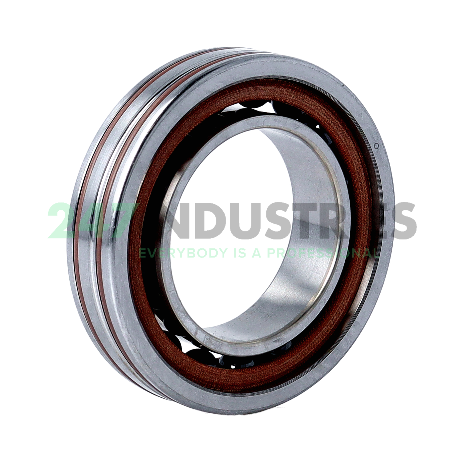 FD1008-DLR-T-P4S FAG Image 2