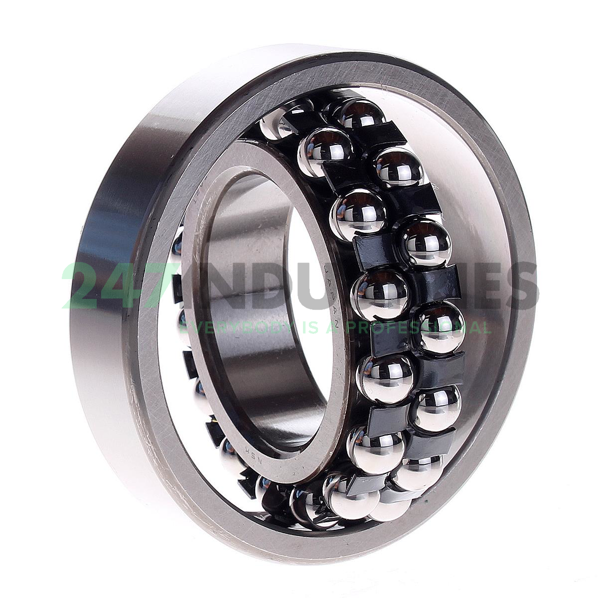 1209 NSK Image 2