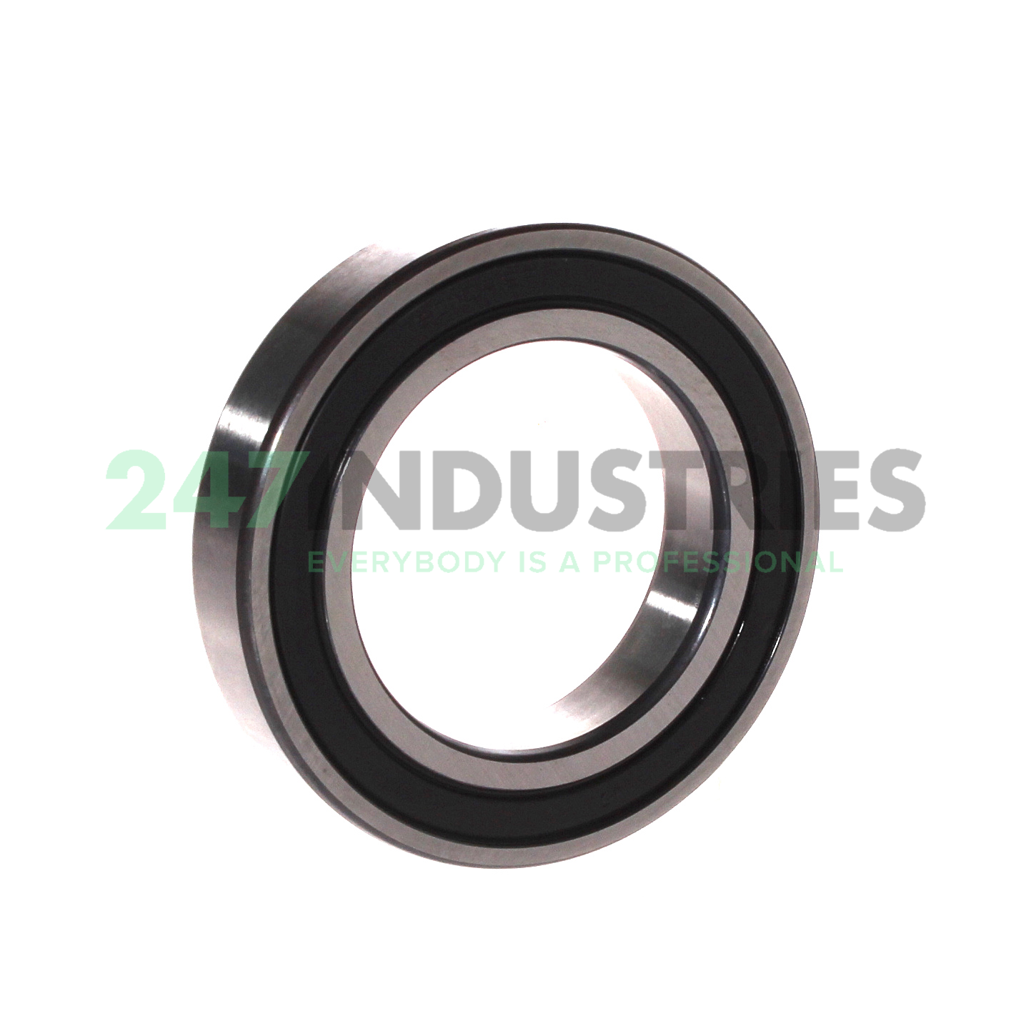 6010.2RSR.C3 FAG Image 2