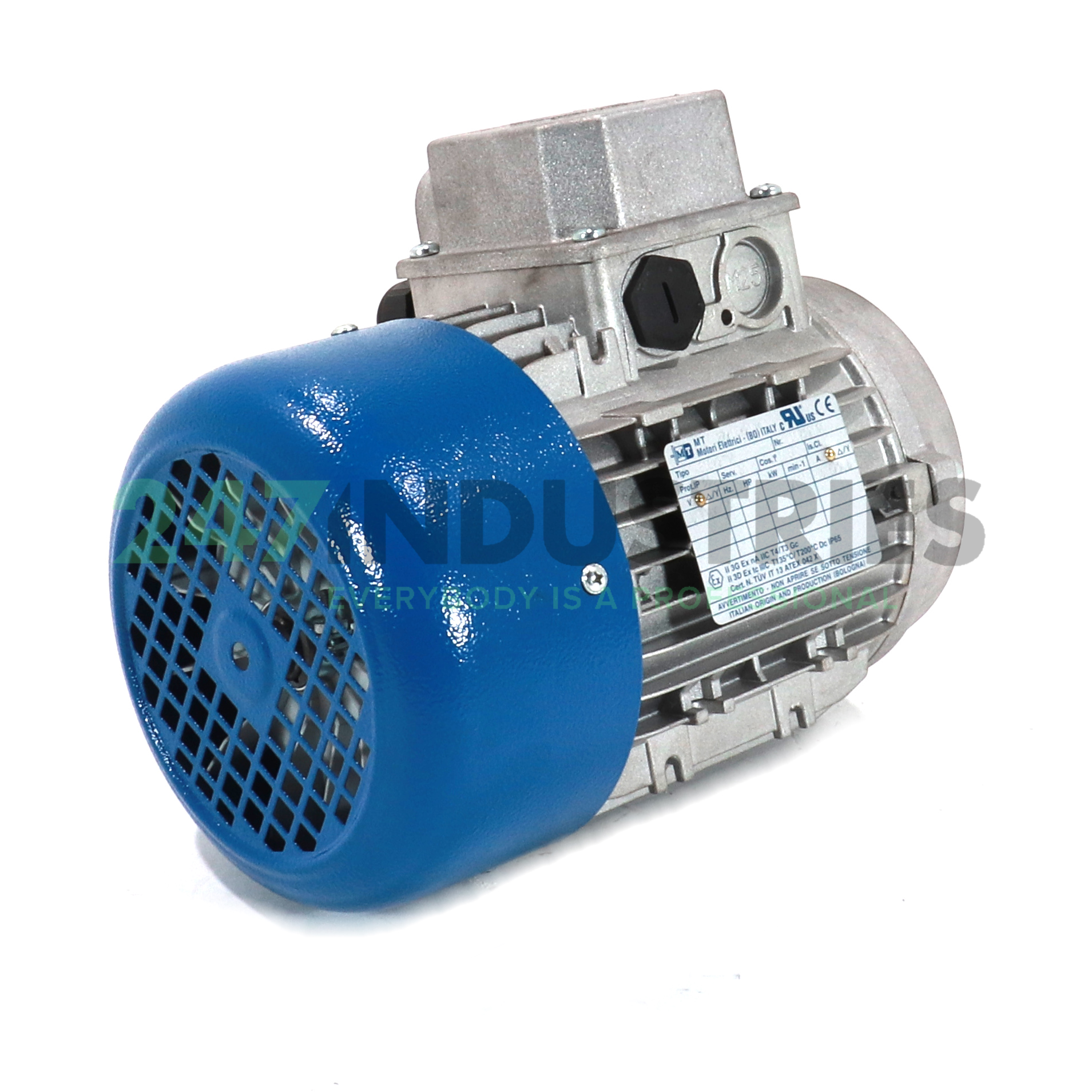 TN80B/214B14 MT Motori Elettrici Image 1