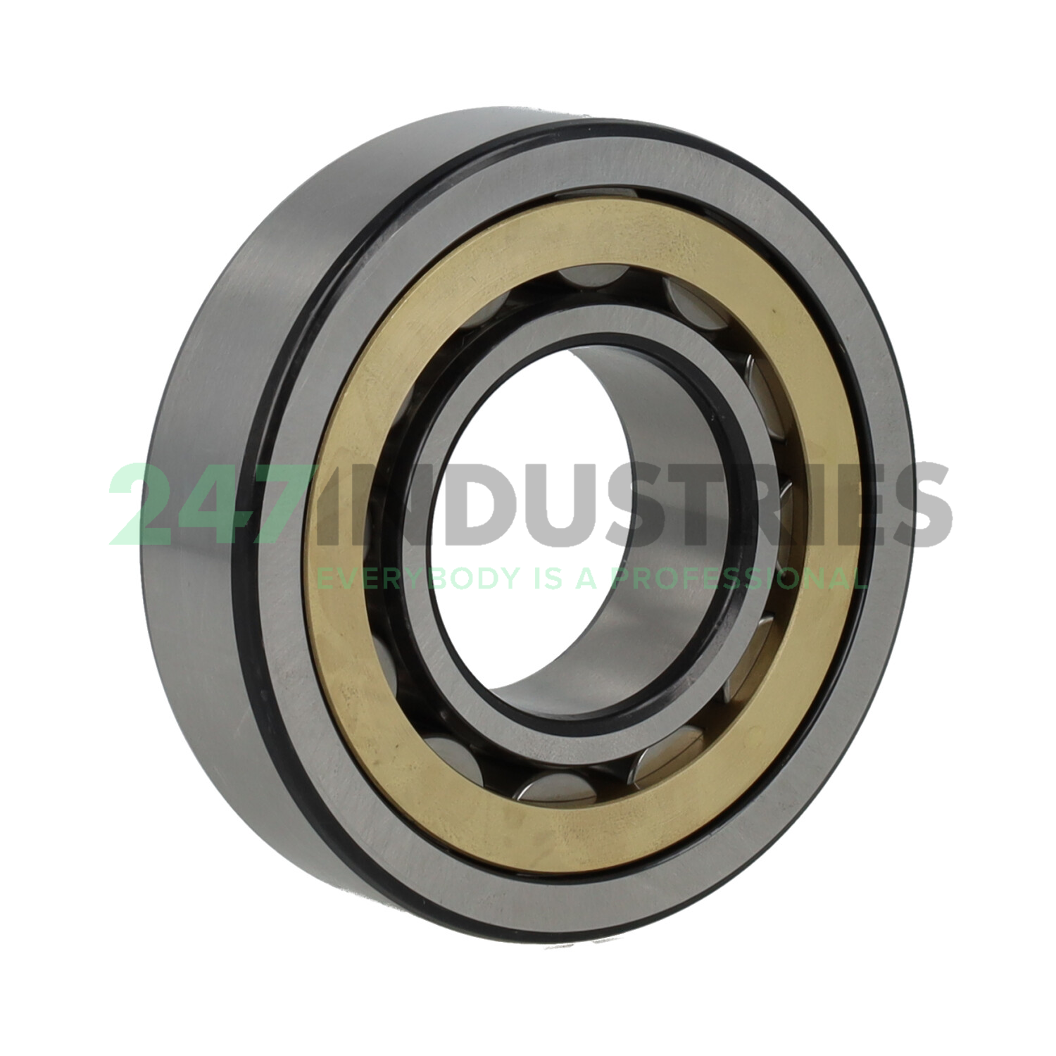 NU308ECM SKF Image 2