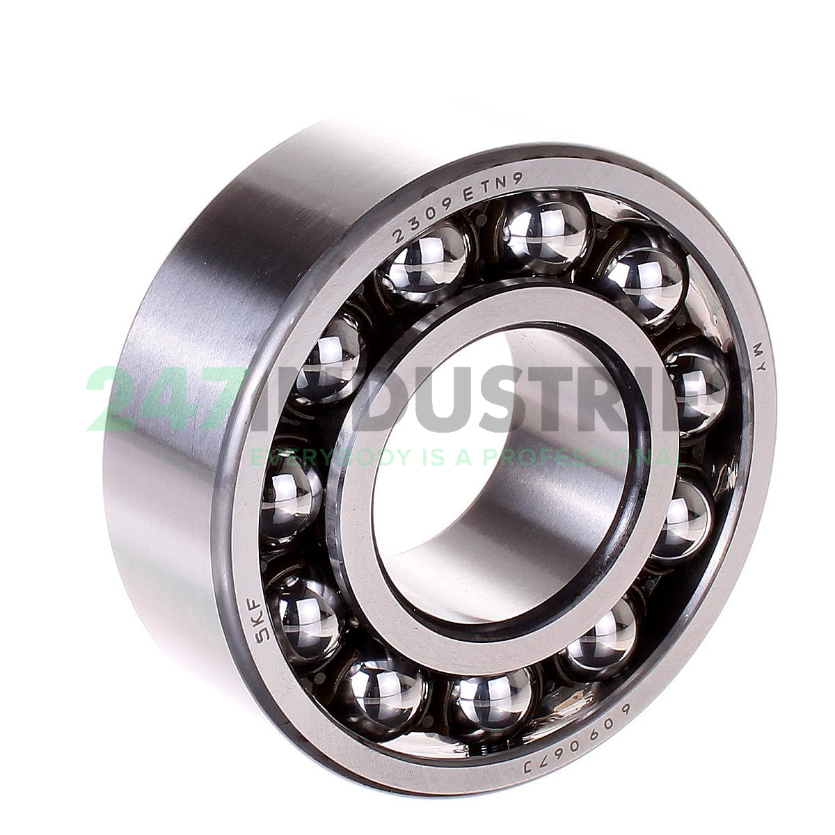 2309ETN9 SKF