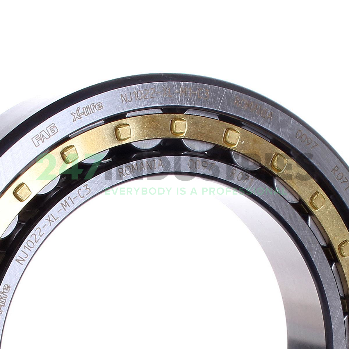 NJ1022-XL-M1-C3 FAG Image 2