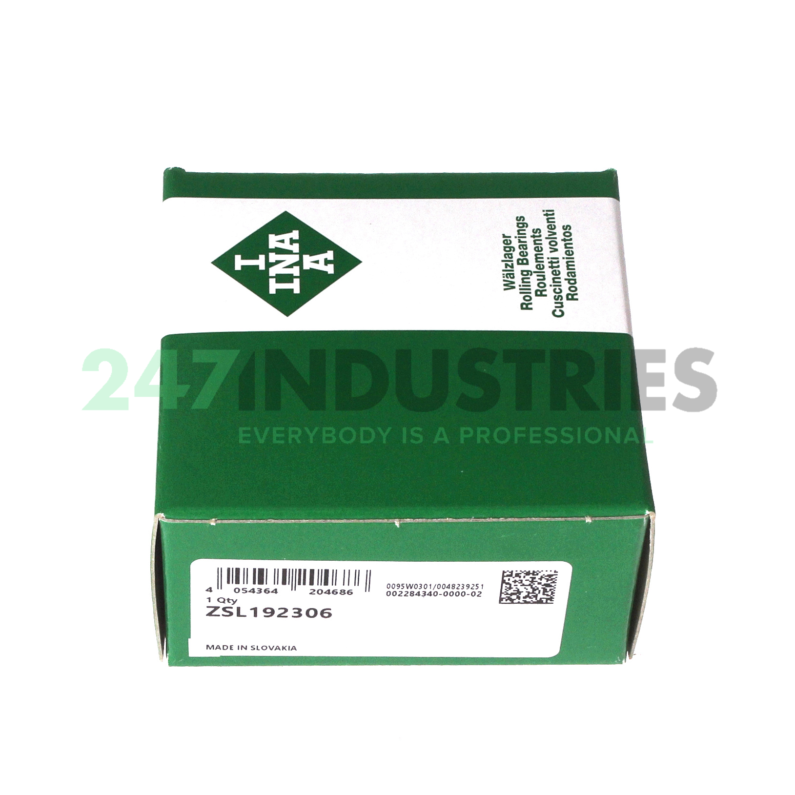 ZSL192306 INA Image 3