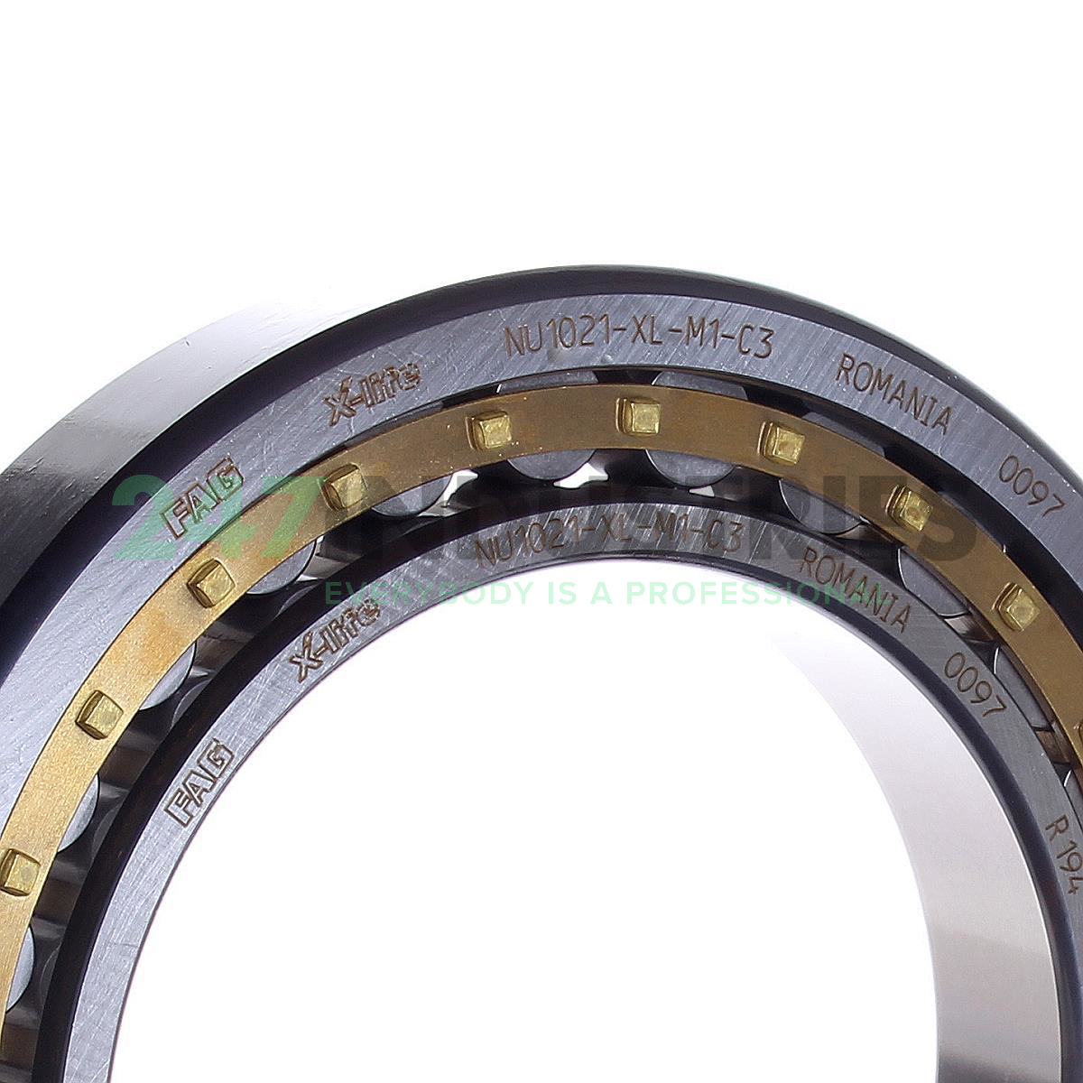 NU1021-XL-M1-C3 FAG Image 2