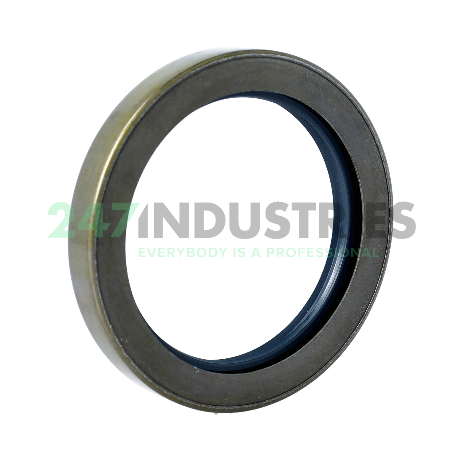 B2FUD4SL 75X100X13 Freudenberg Image 2