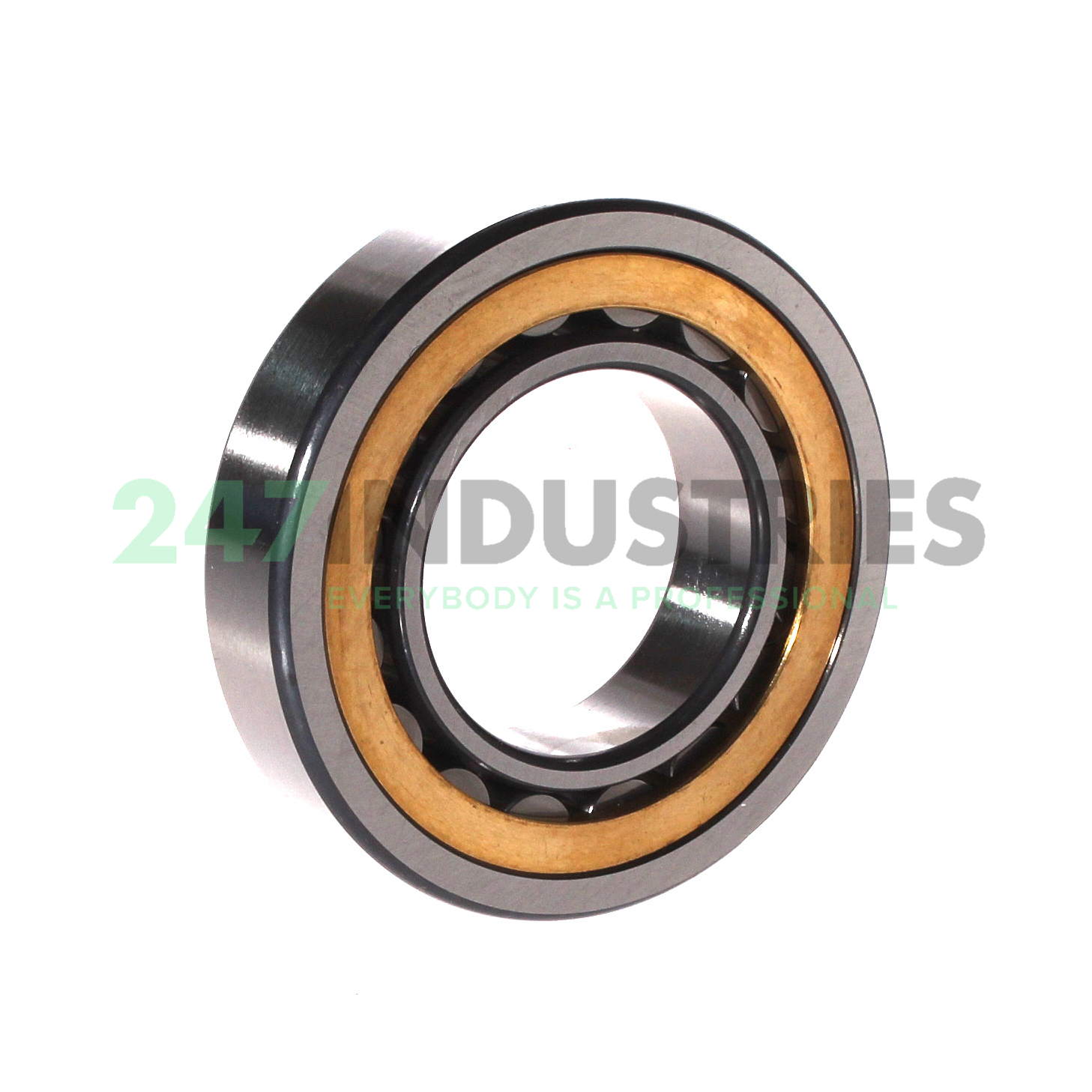 NU209-E-XL-M1A-C3 FAG Image 2