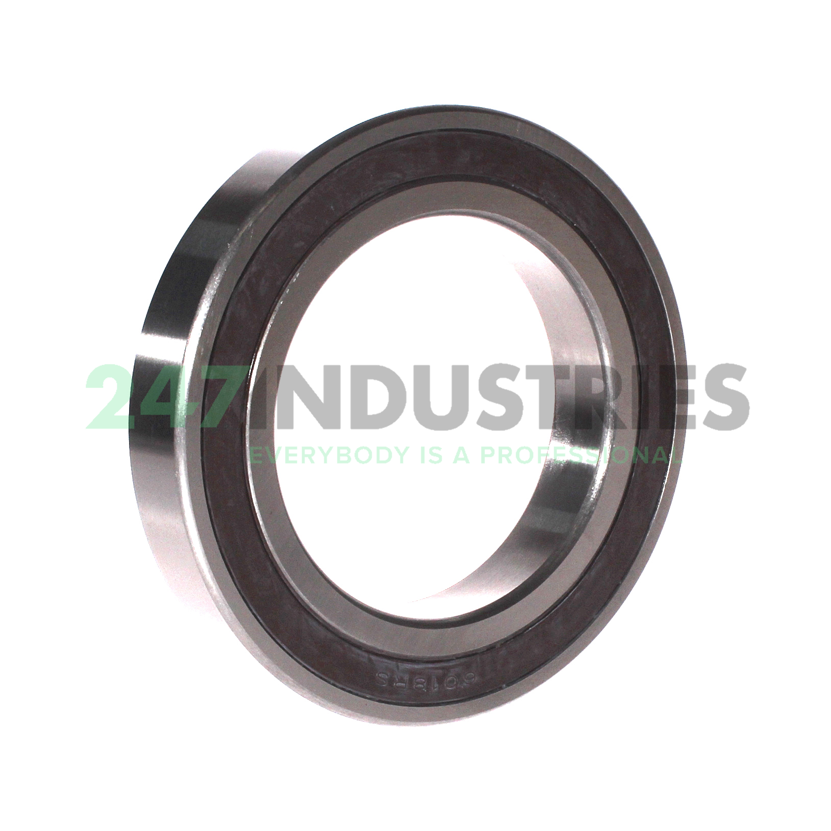 6018 2RS FBJ Image 2