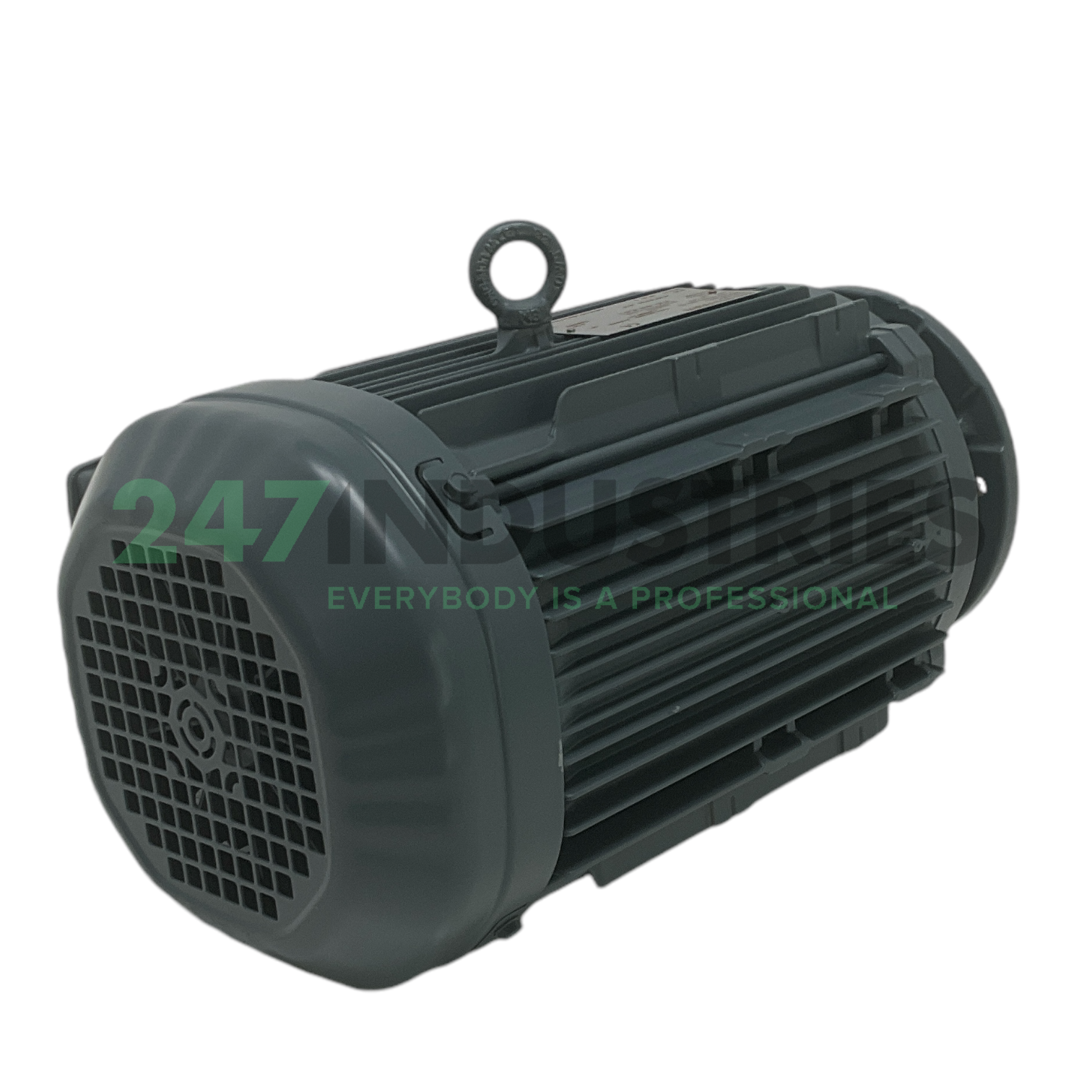 DRN100L4/FG SEW-EURODRIVE Image 3