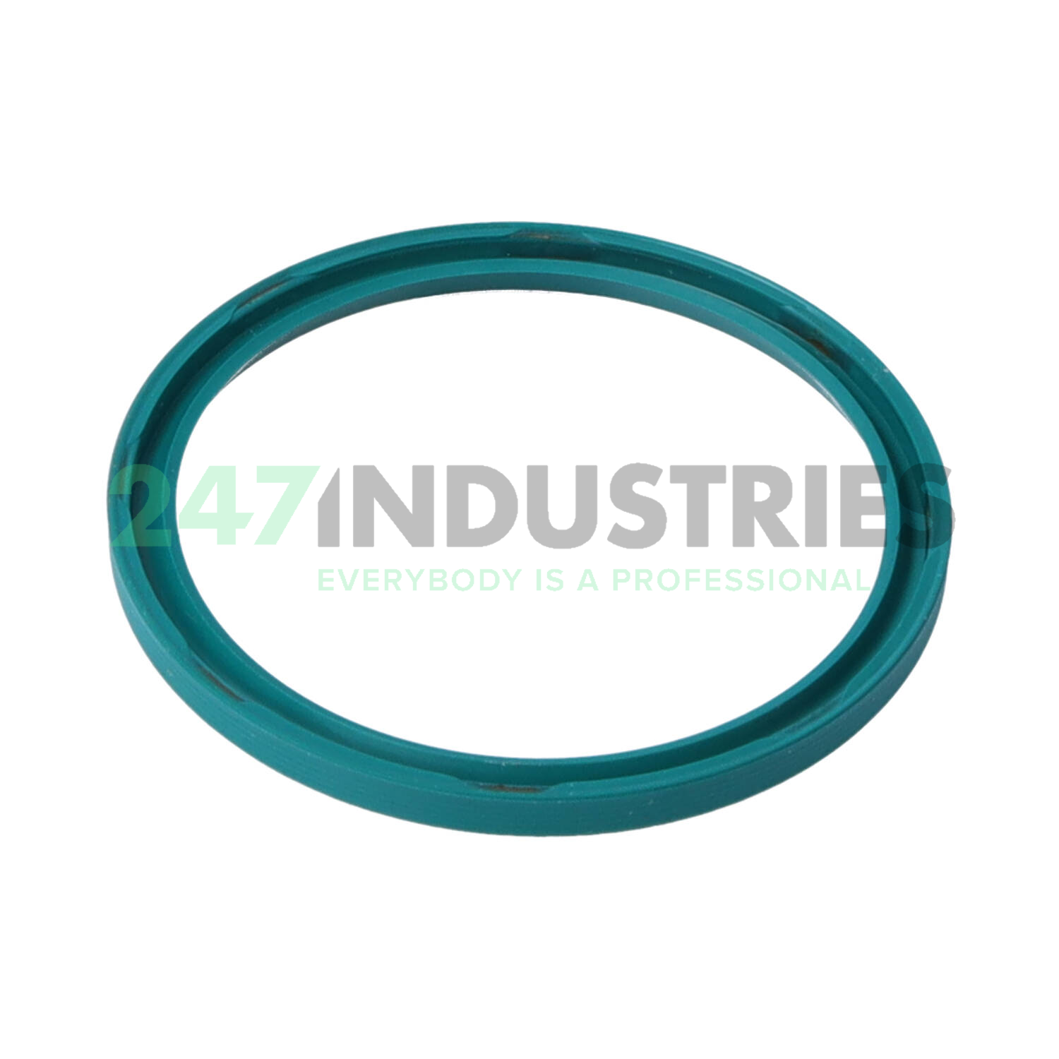 VG1 50X58X4 NAK Sealing Technologies Image 2