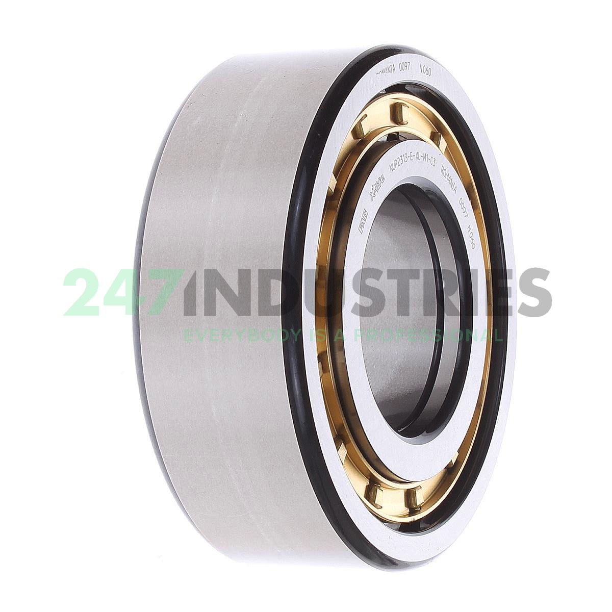 NUP2313-E-XL-M1-C3 FAG Image 2