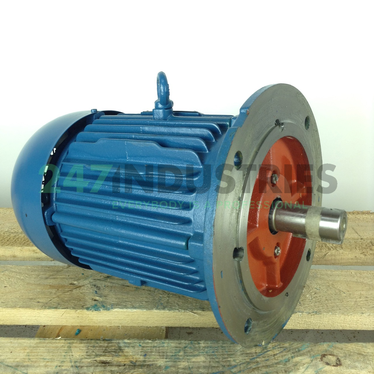 2.2K31AL21004B5 WEG Image 3