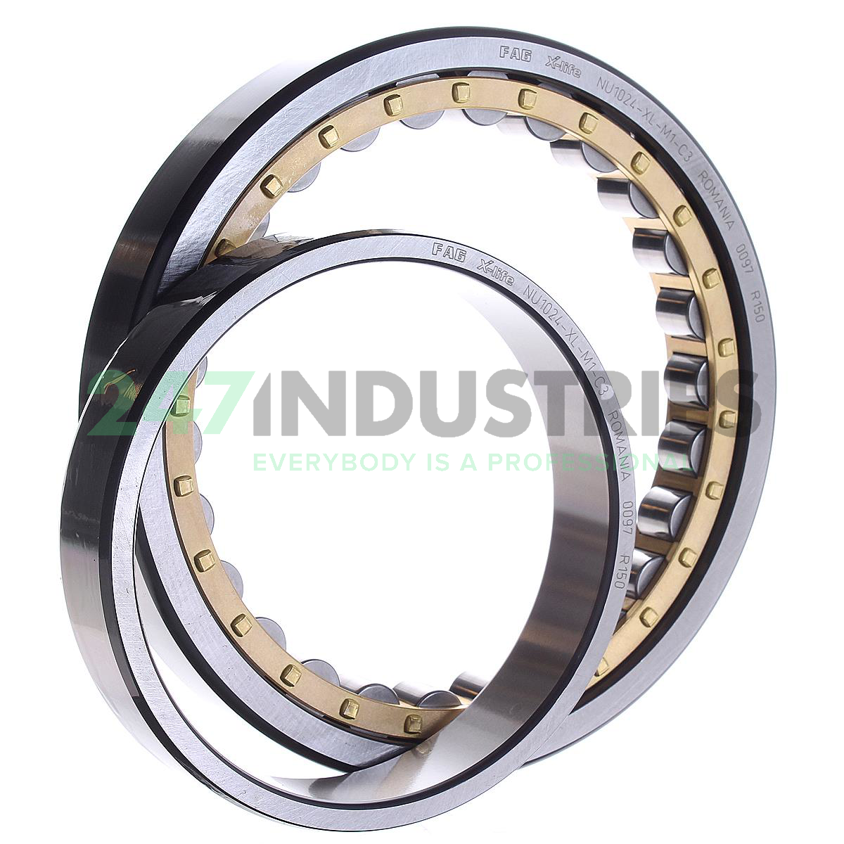 NU1024-XL-M1-C3 FAG Image 3