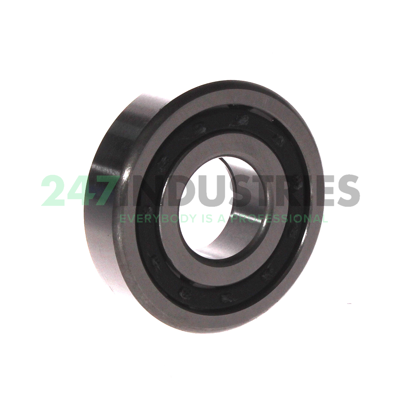 NUP305E C3 FBJ Image 2